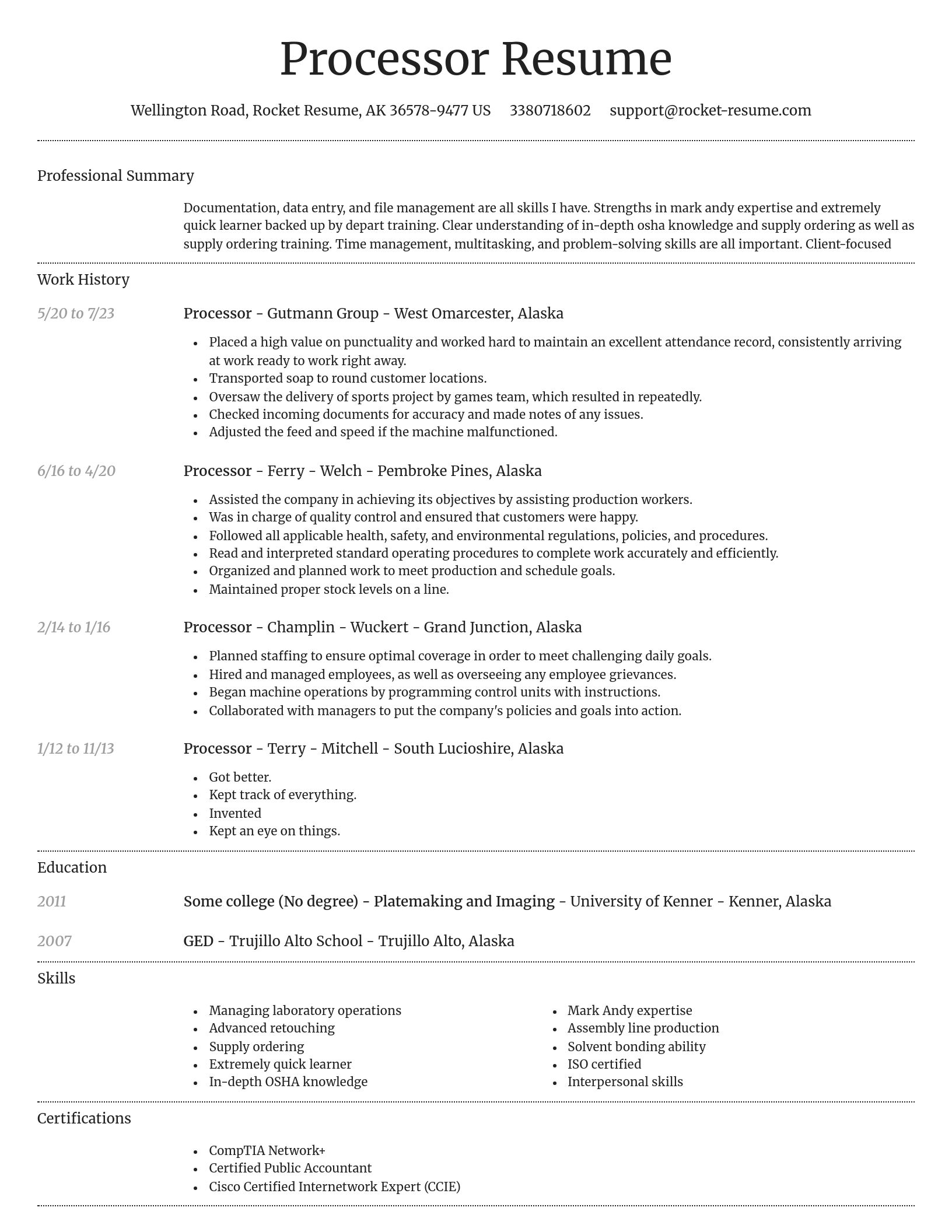 Dignified resume template