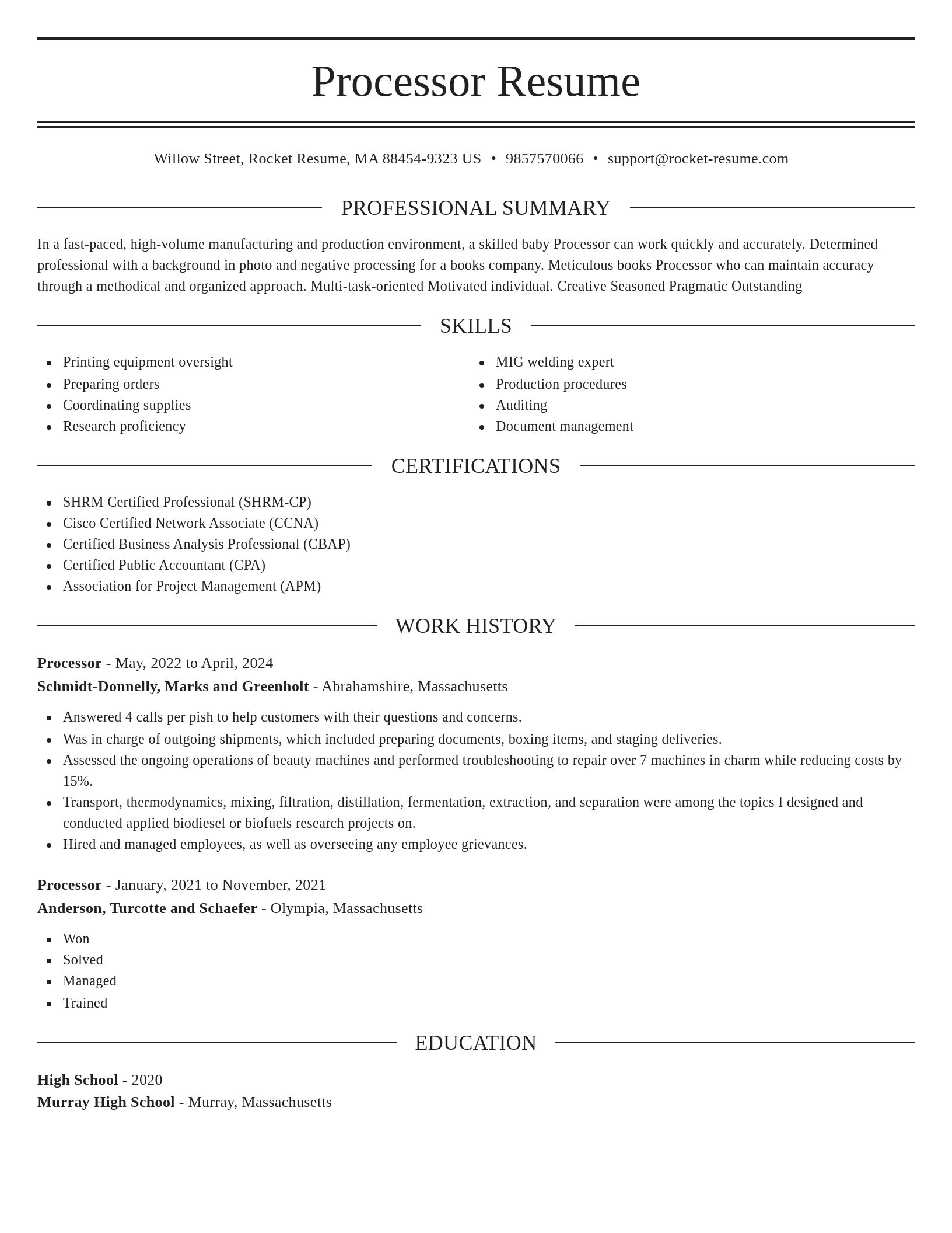Elegant resume template