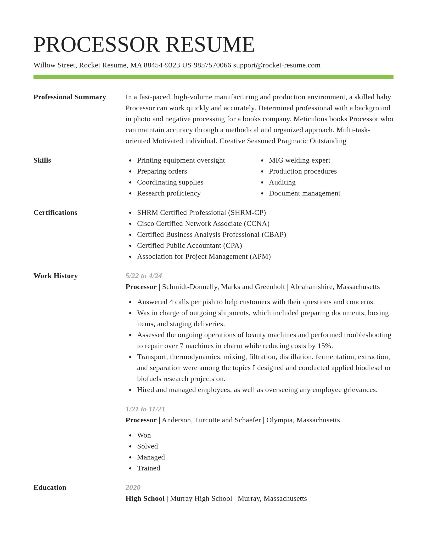Smart resume template