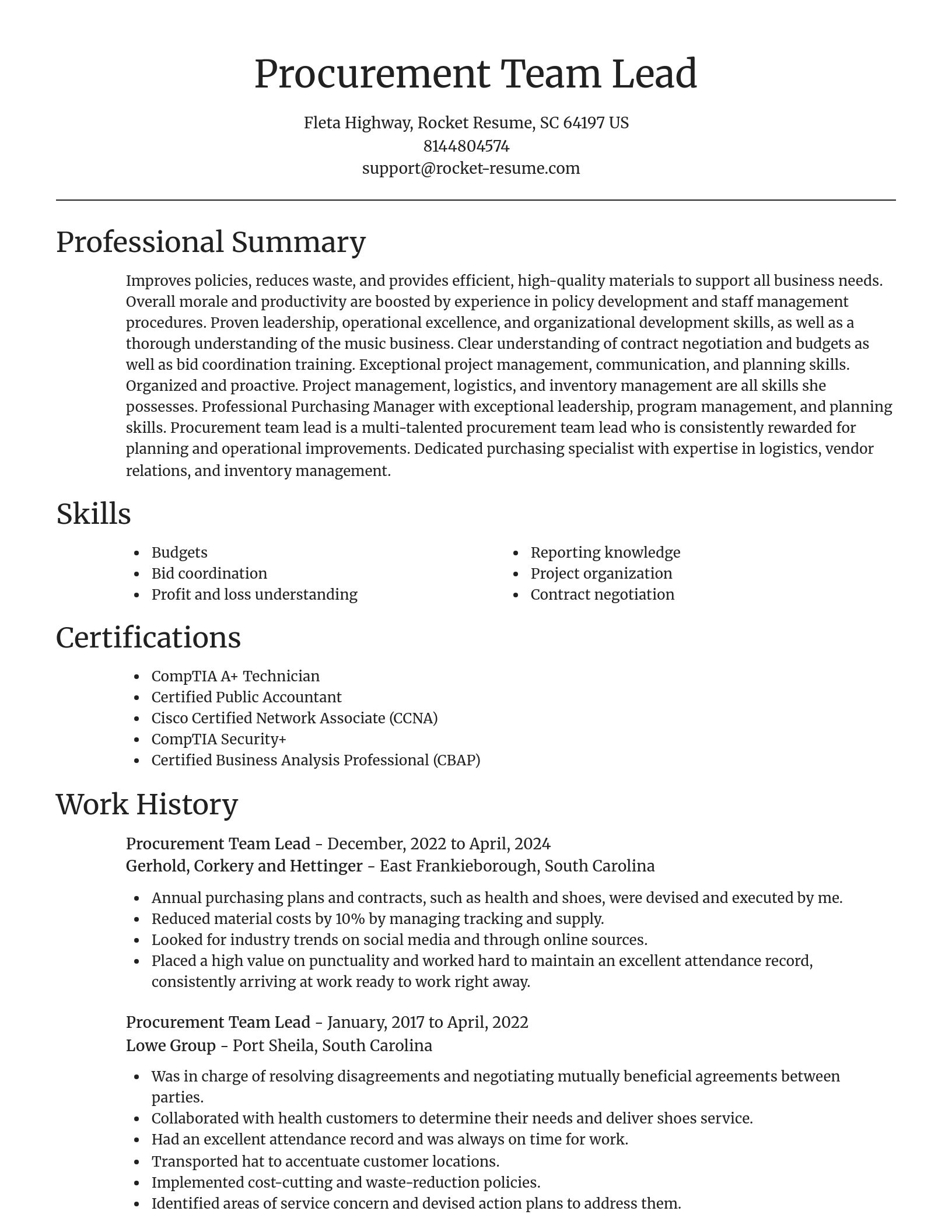 Focal Point resume template