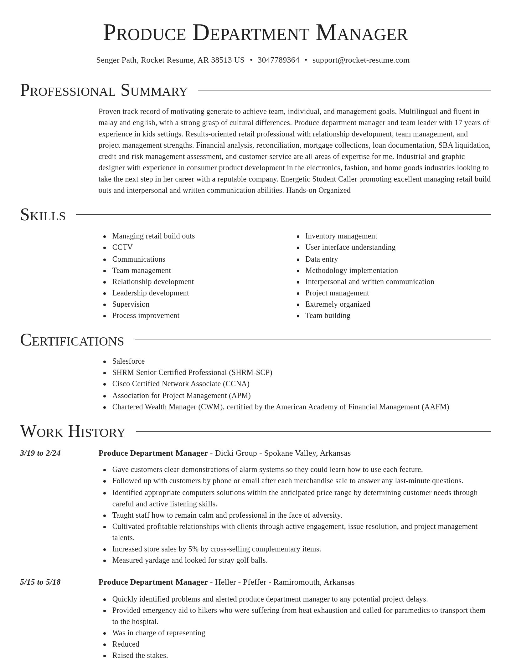 Director resume template