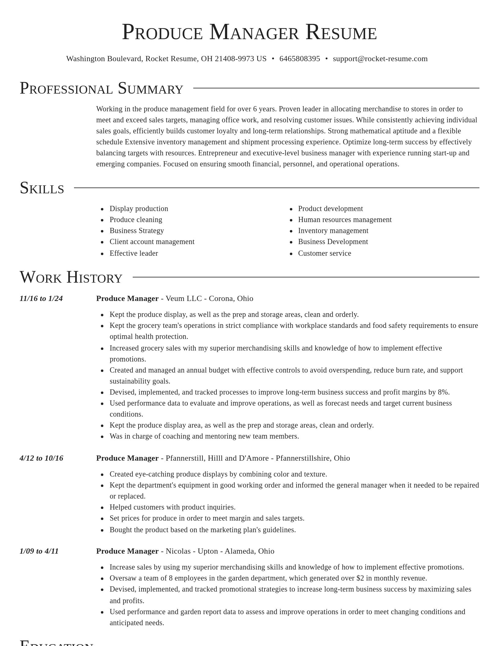 Director resume template