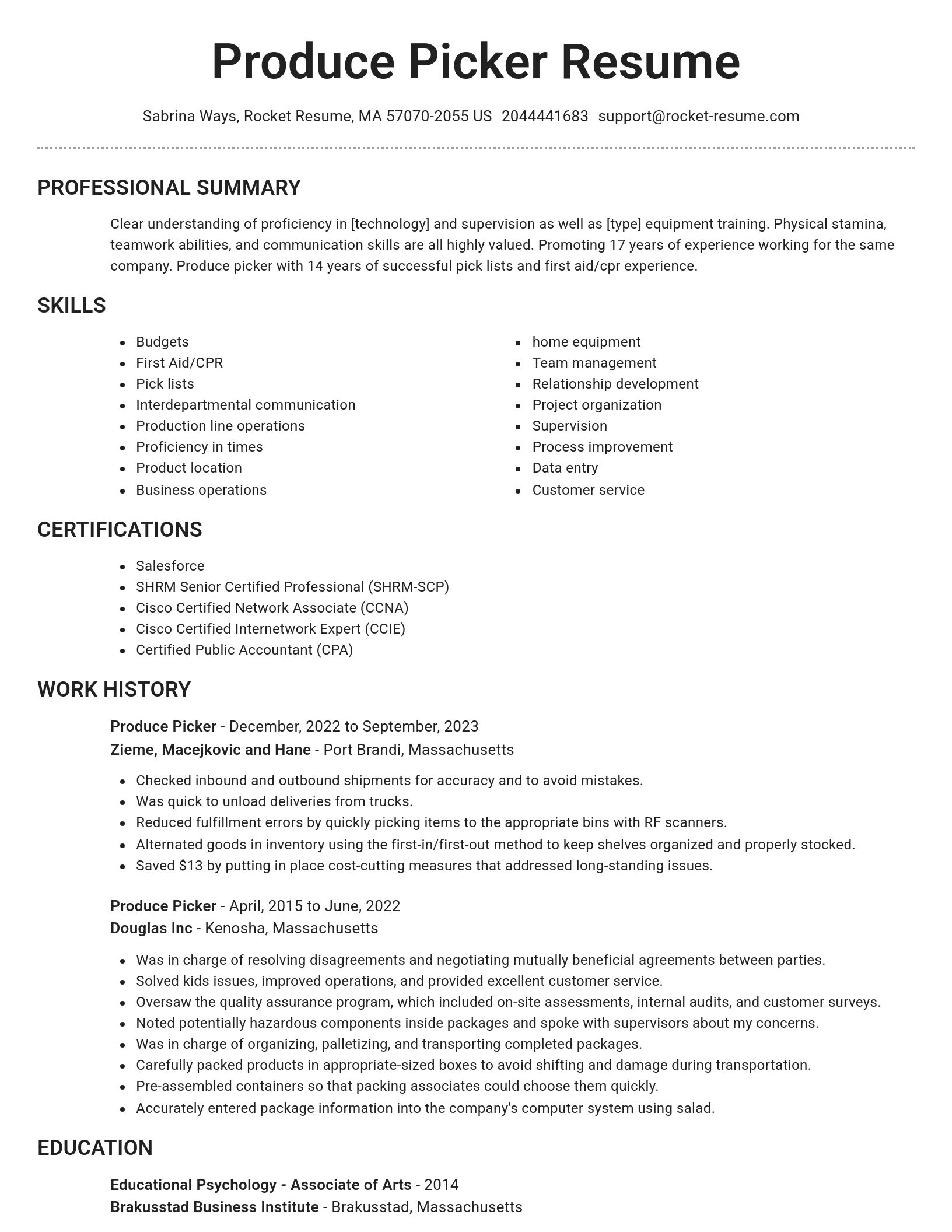 Brilliant resume template