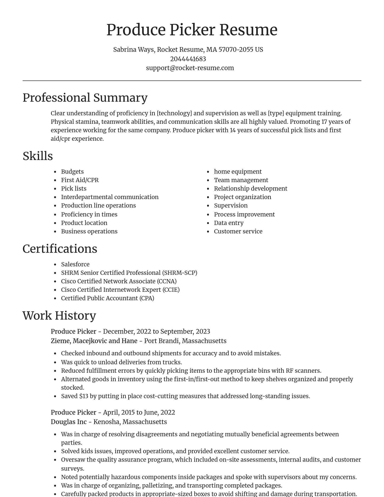 Focal Point resume template