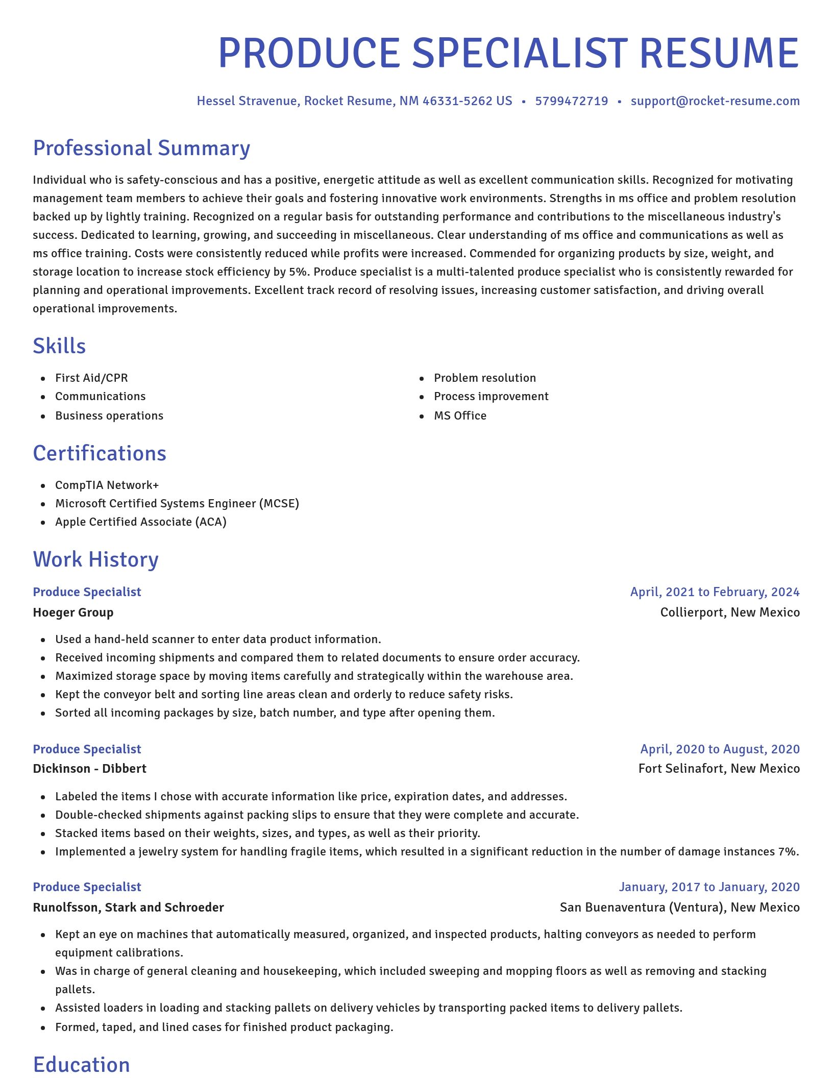 Novel resume template