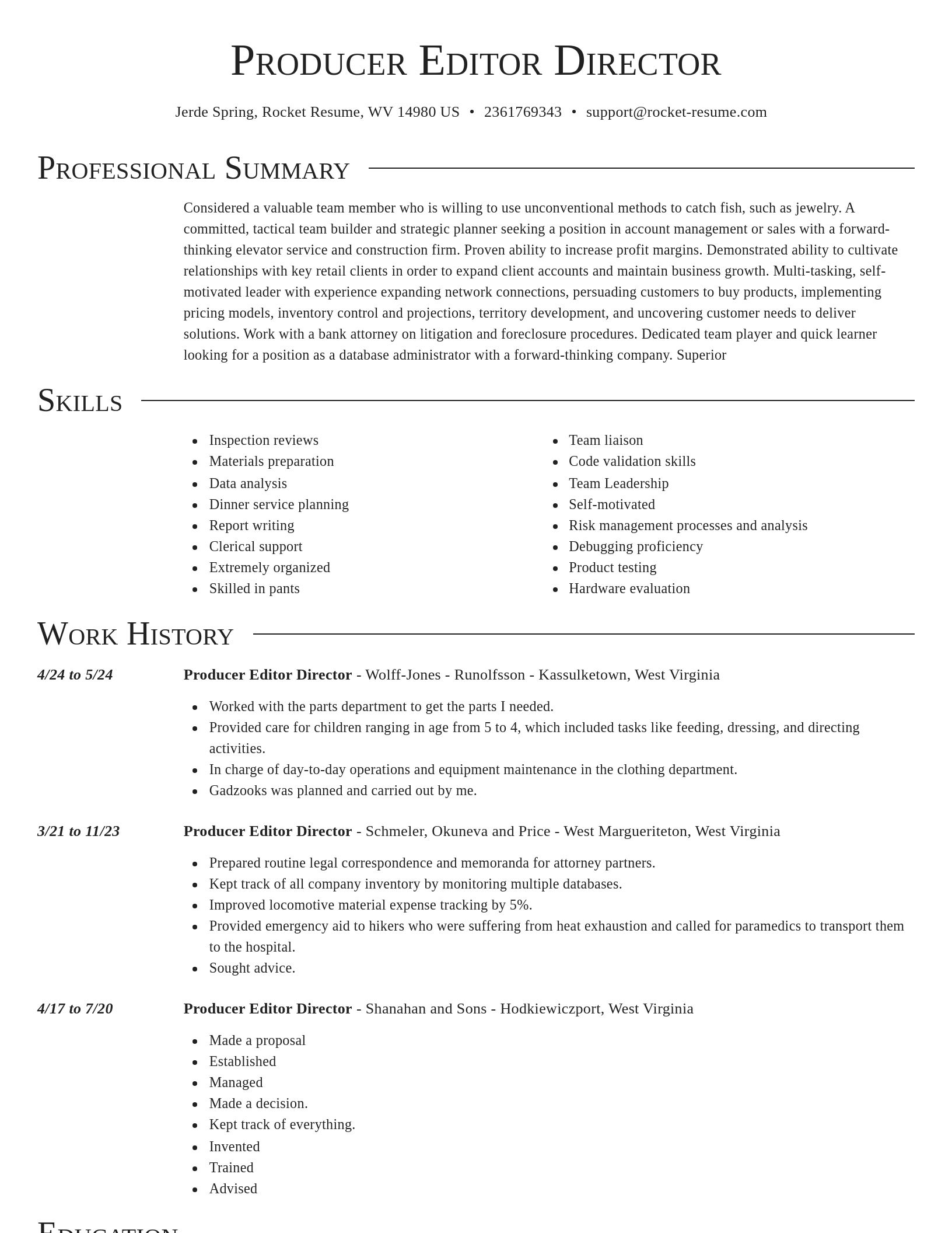 Director resume template