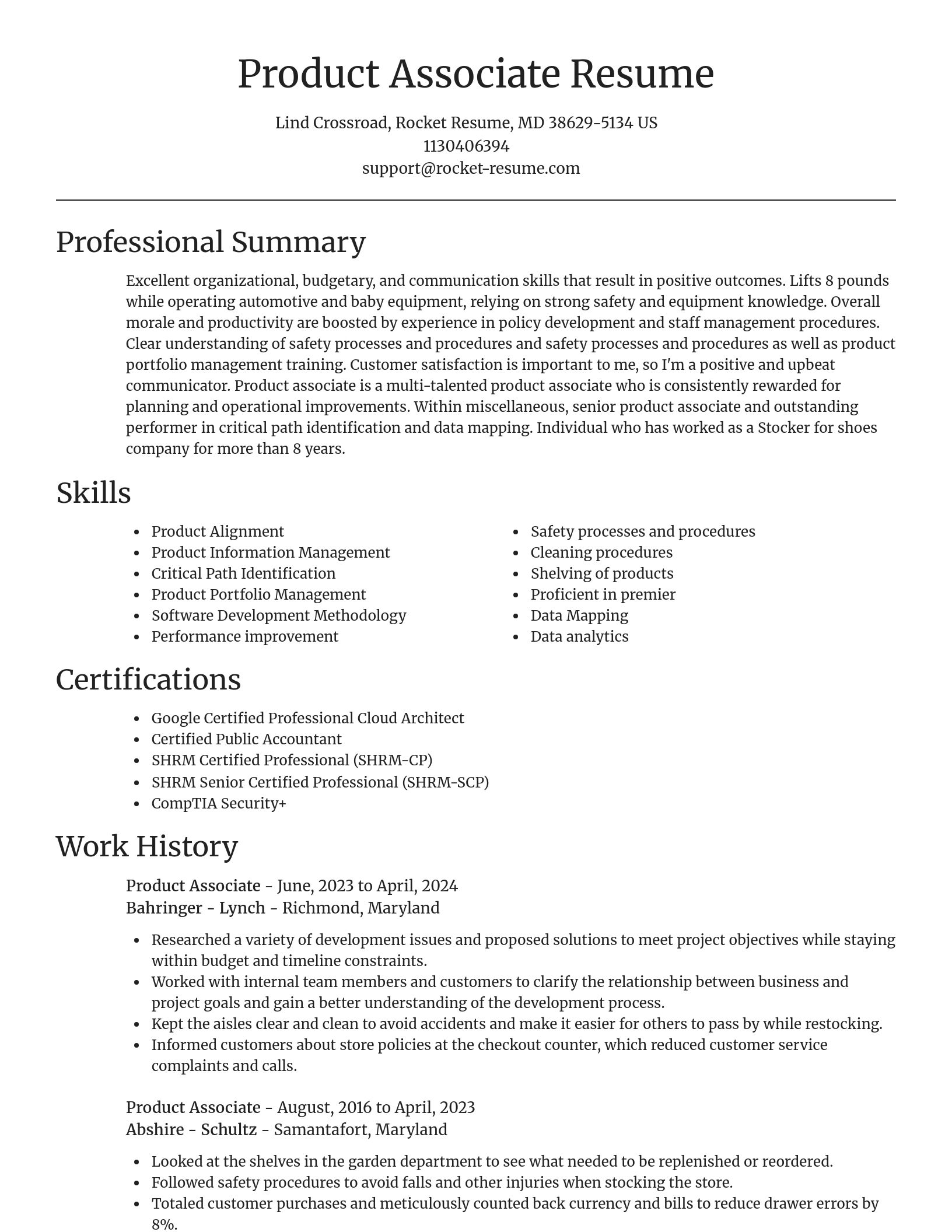 Focal Point resume template