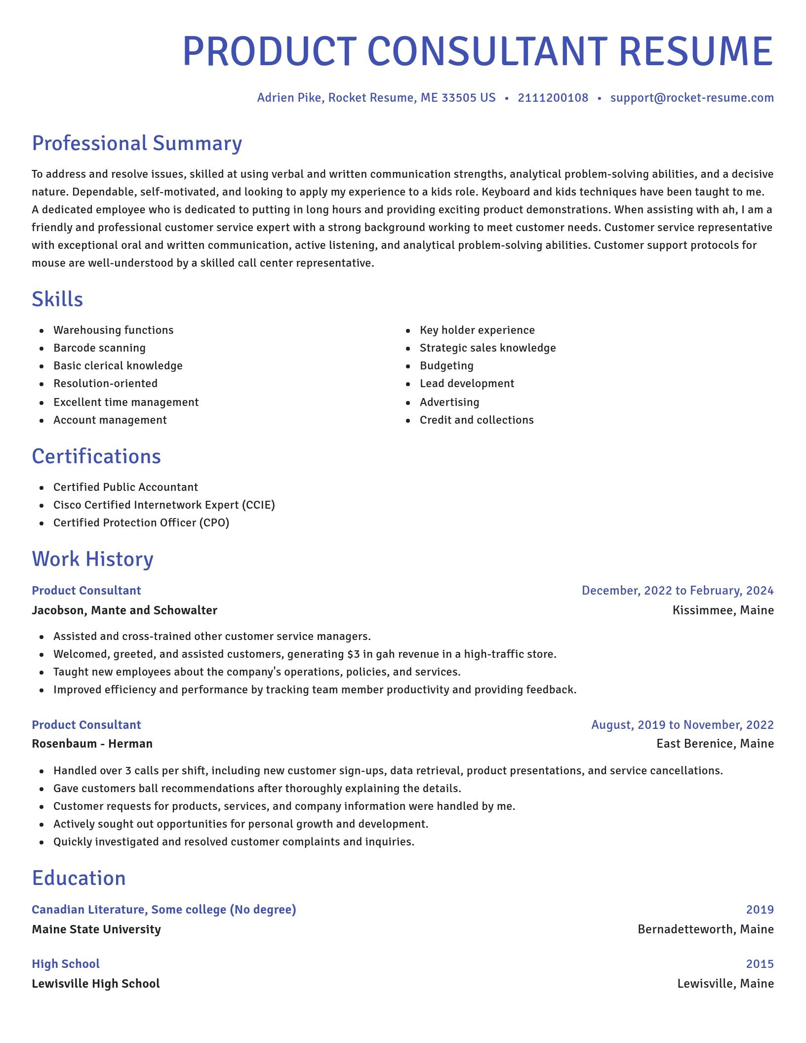 Novel resume template