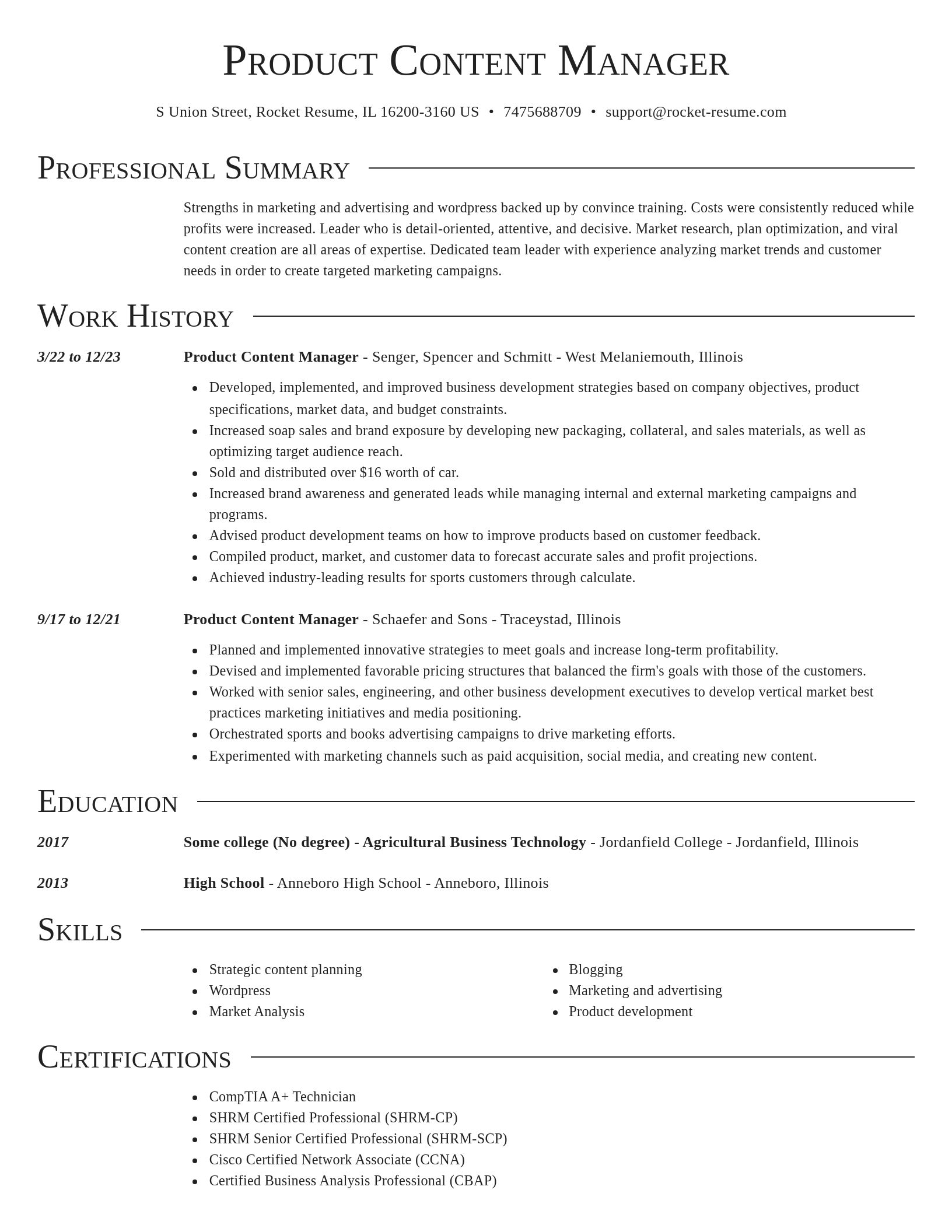Director resume template