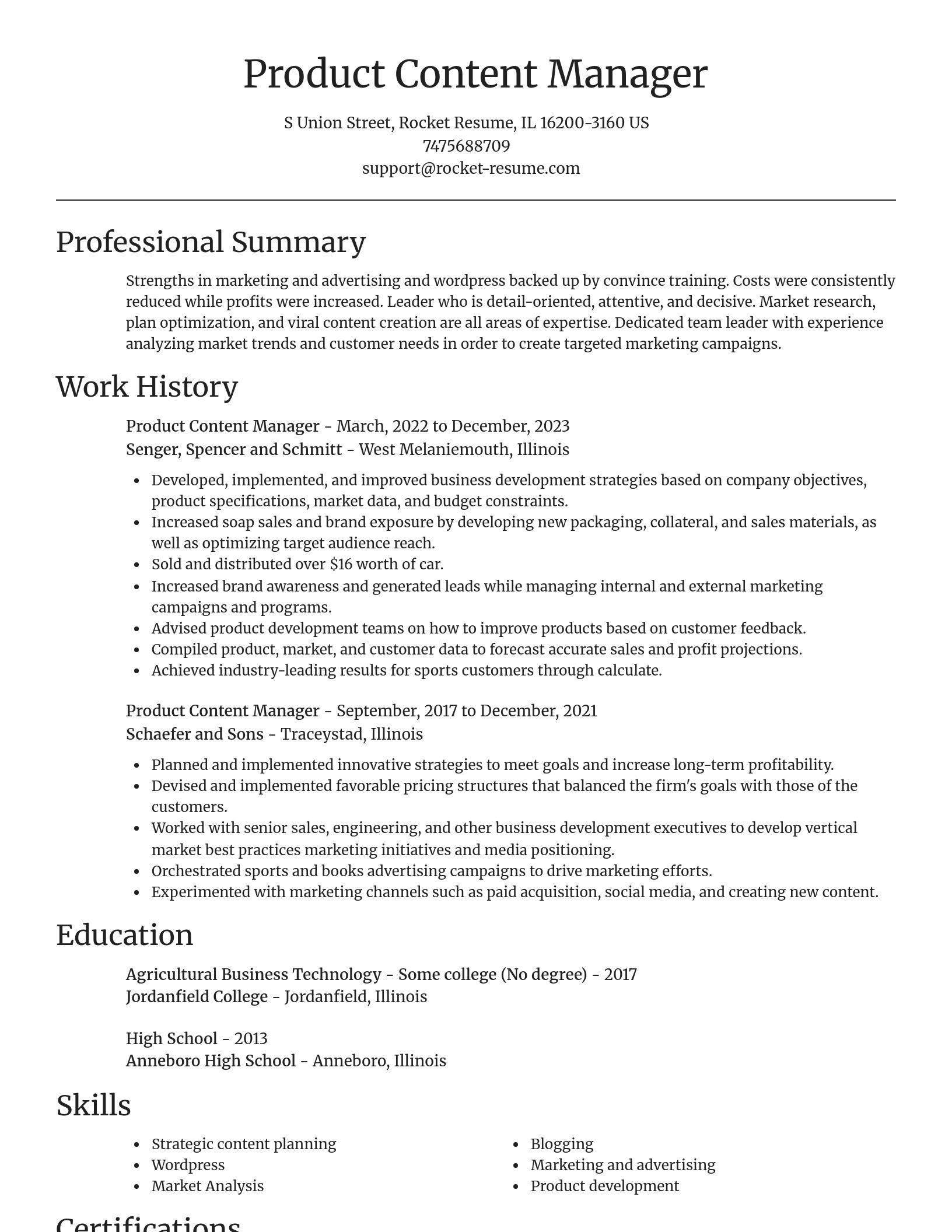 Focal Point resume template
