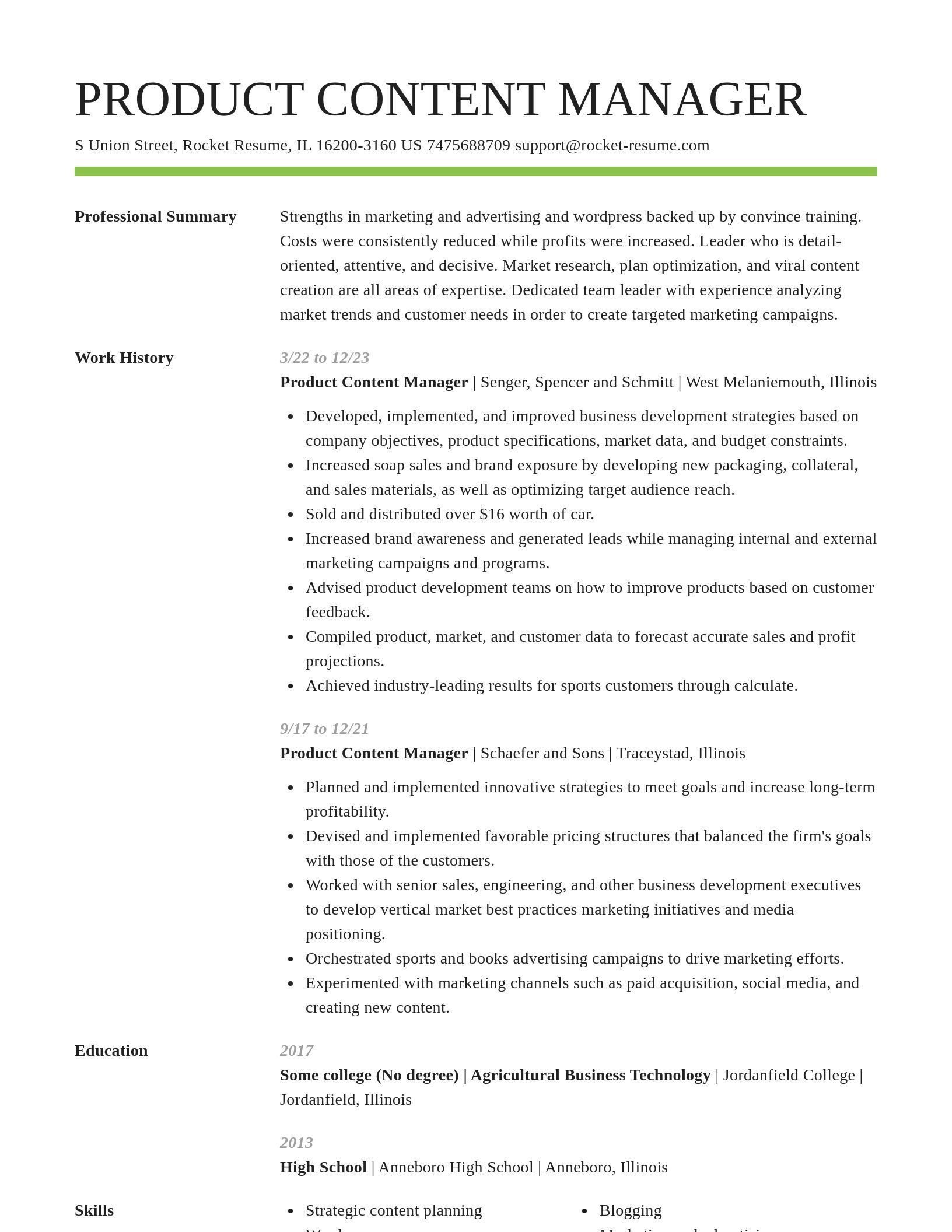 Smart resume template