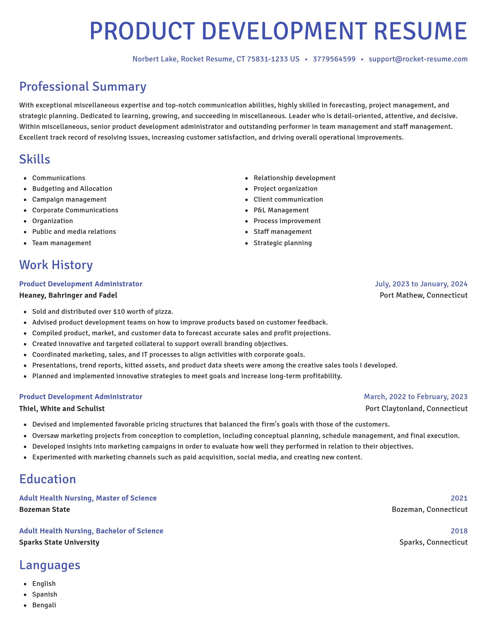 Novel resume template