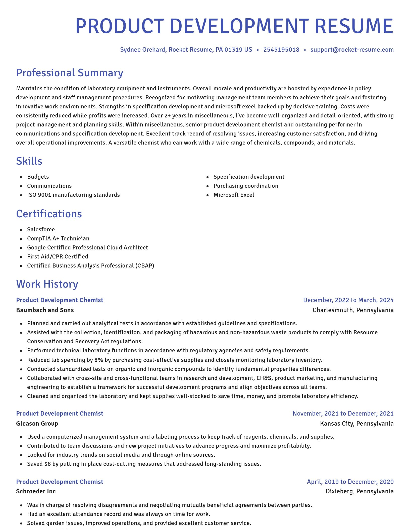 Novel resume template