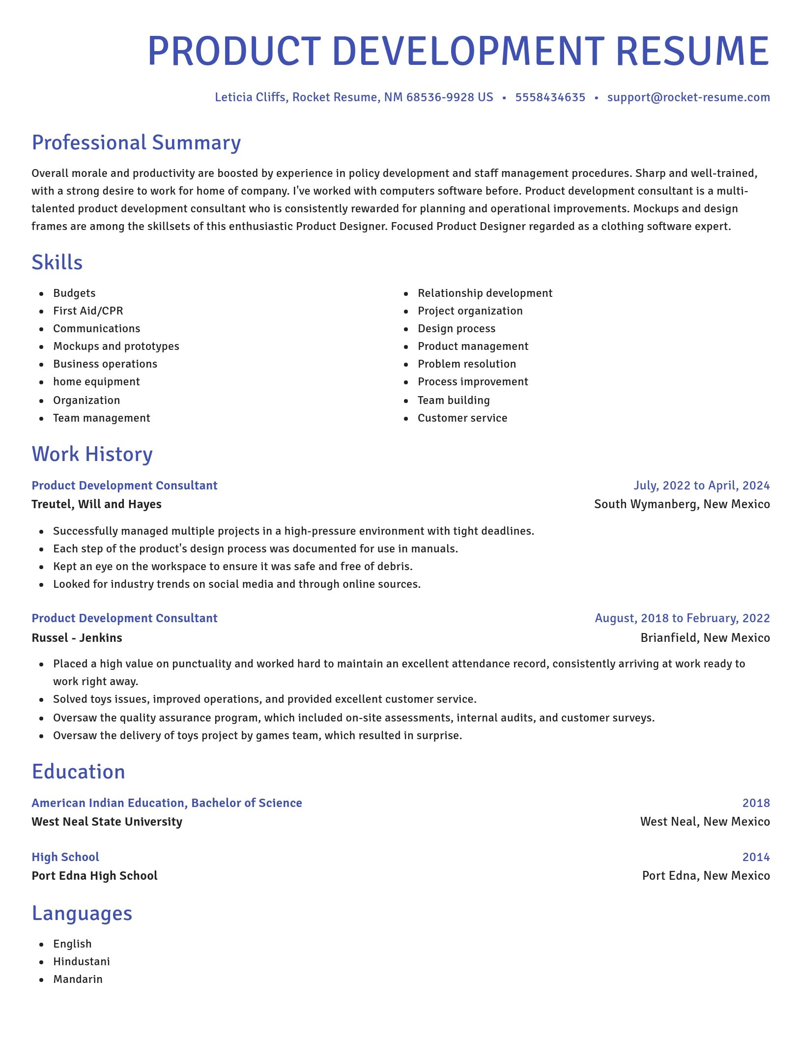 Novel resume template