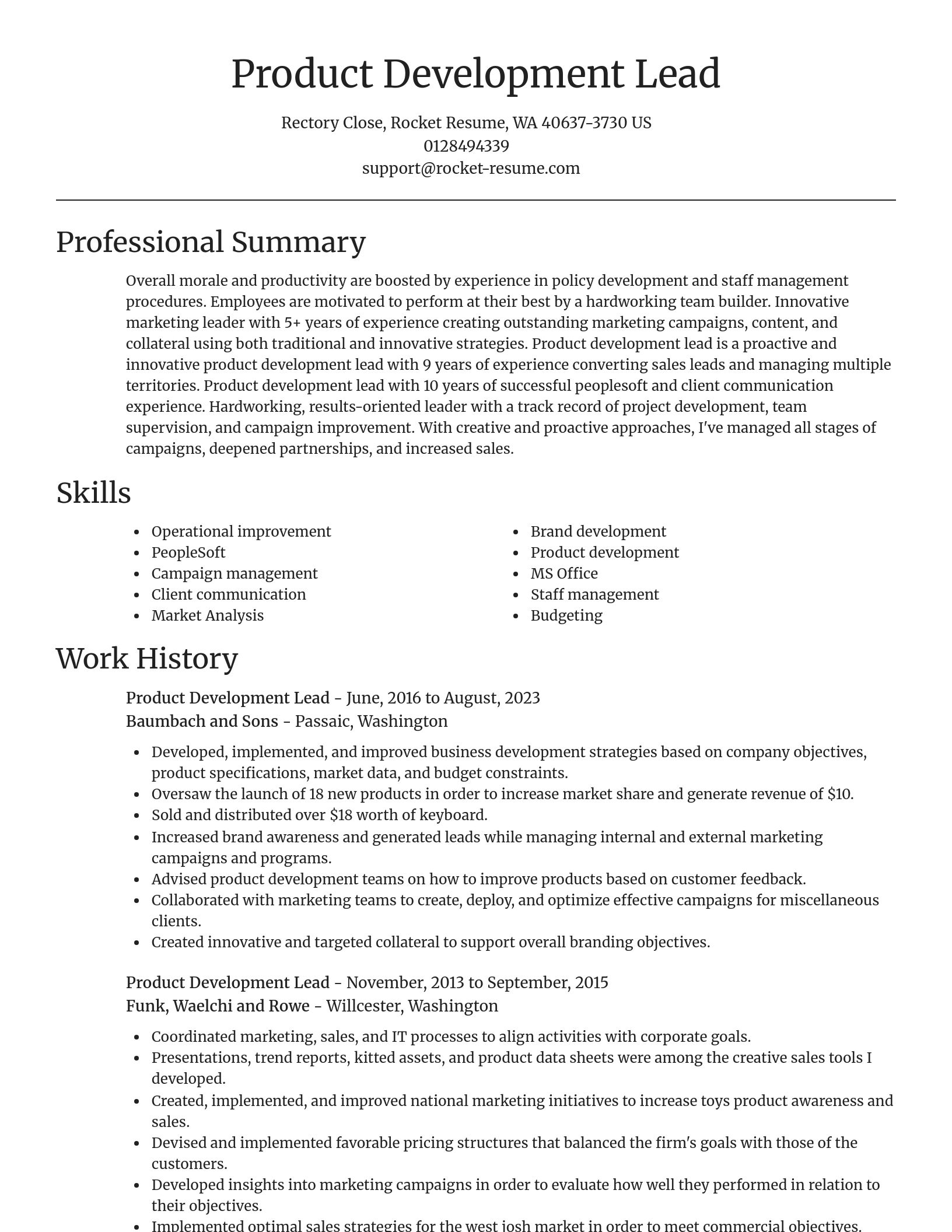 Focal Point resume template