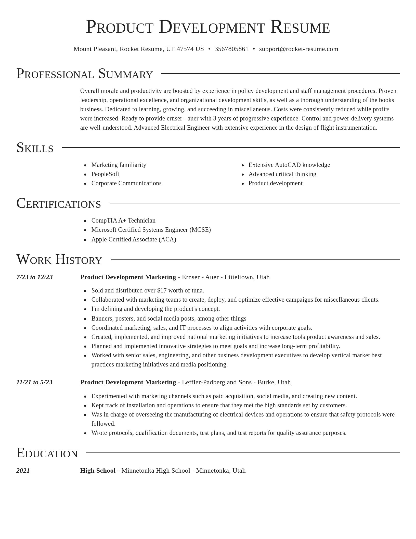 Director resume template