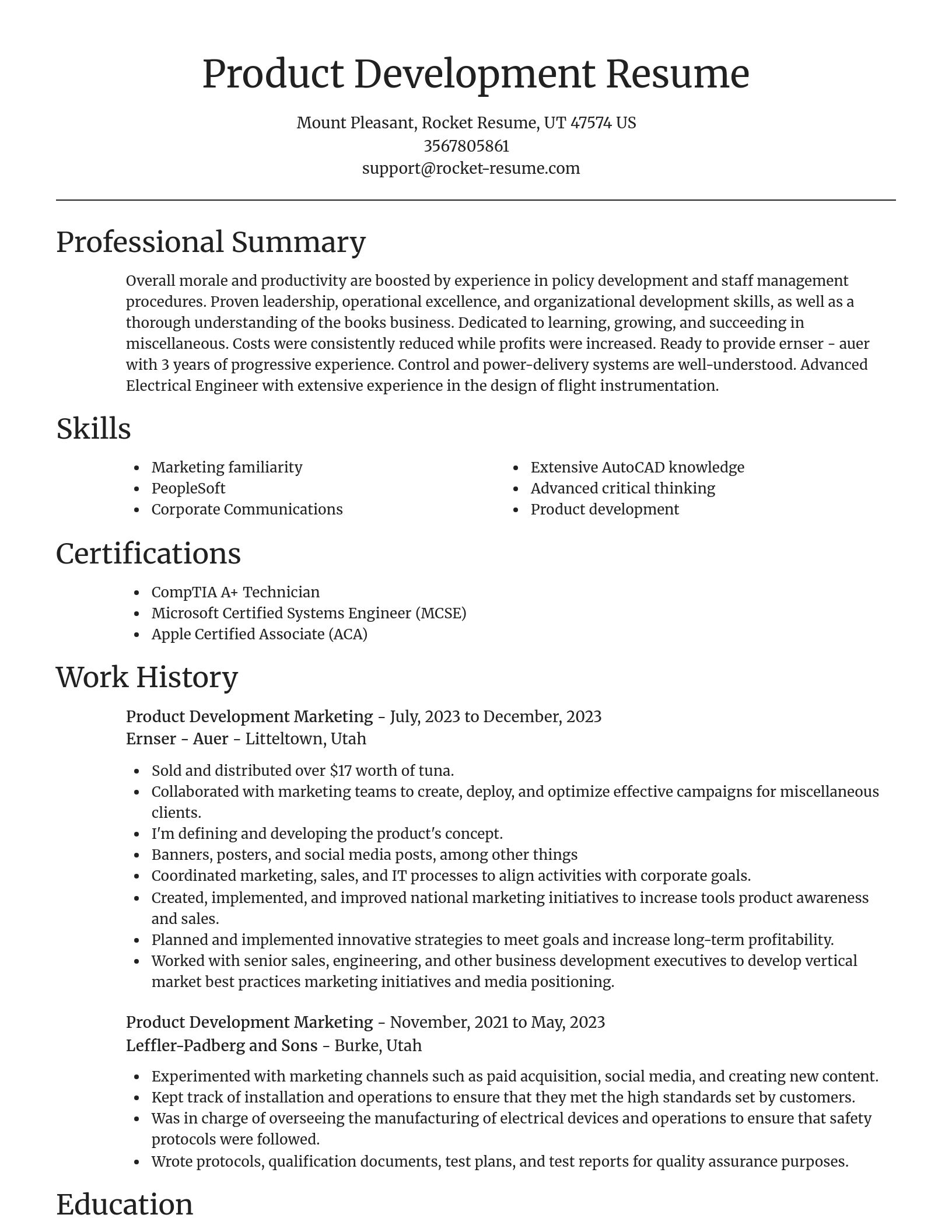 Focal Point resume template