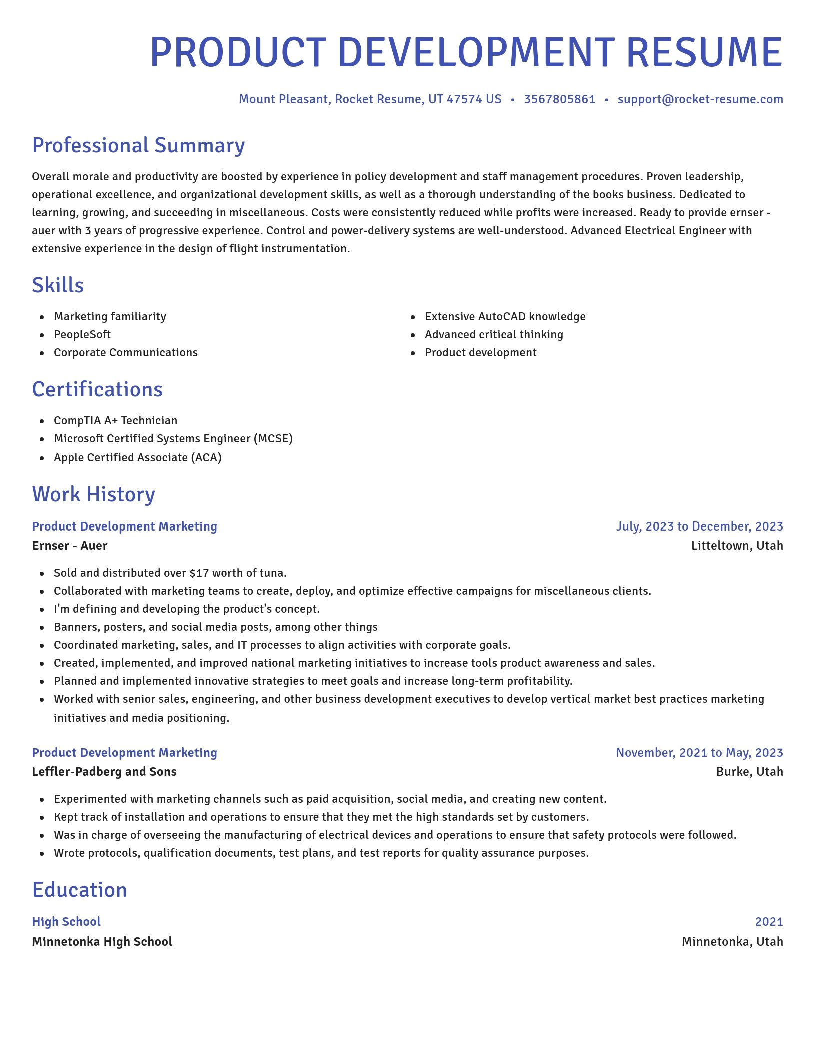 Novel resume template