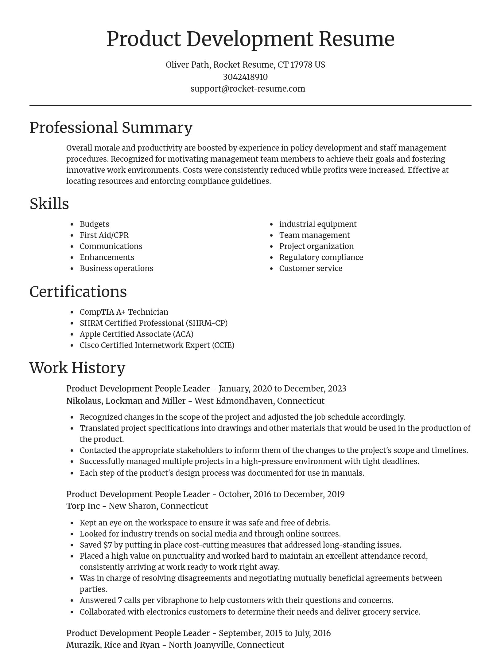 Focal Point resume template