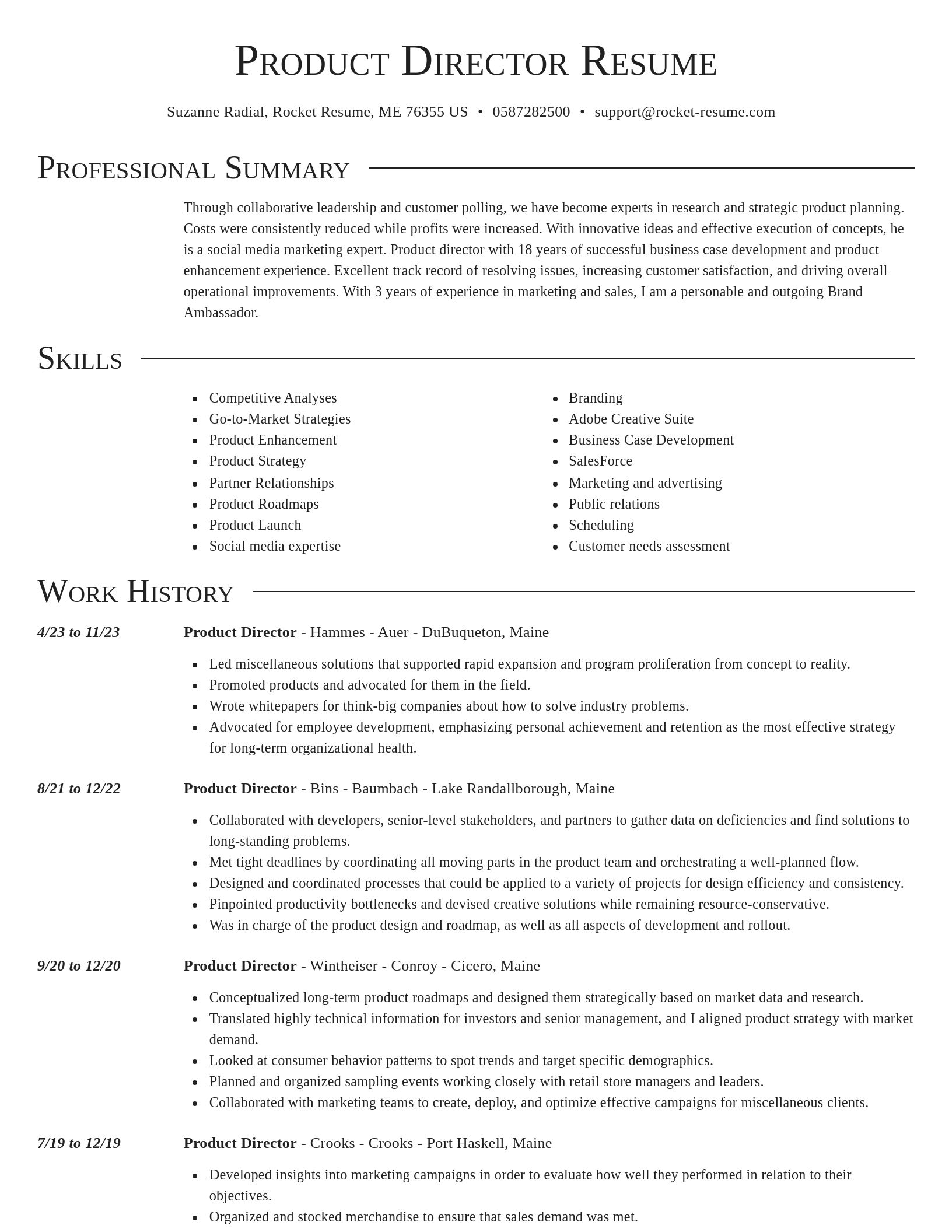 Director resume template
