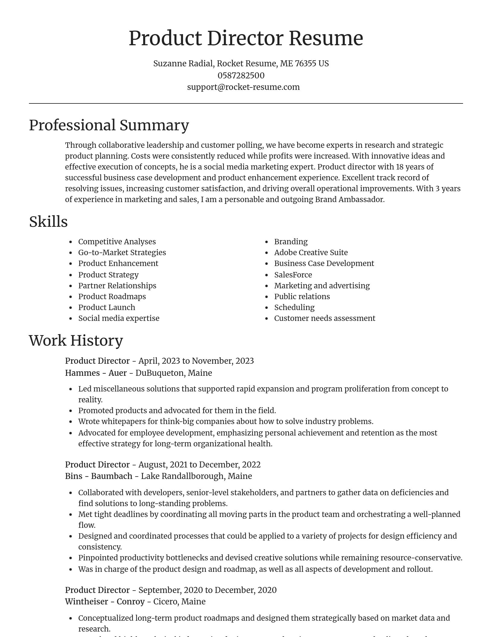 Focal Point resume template
