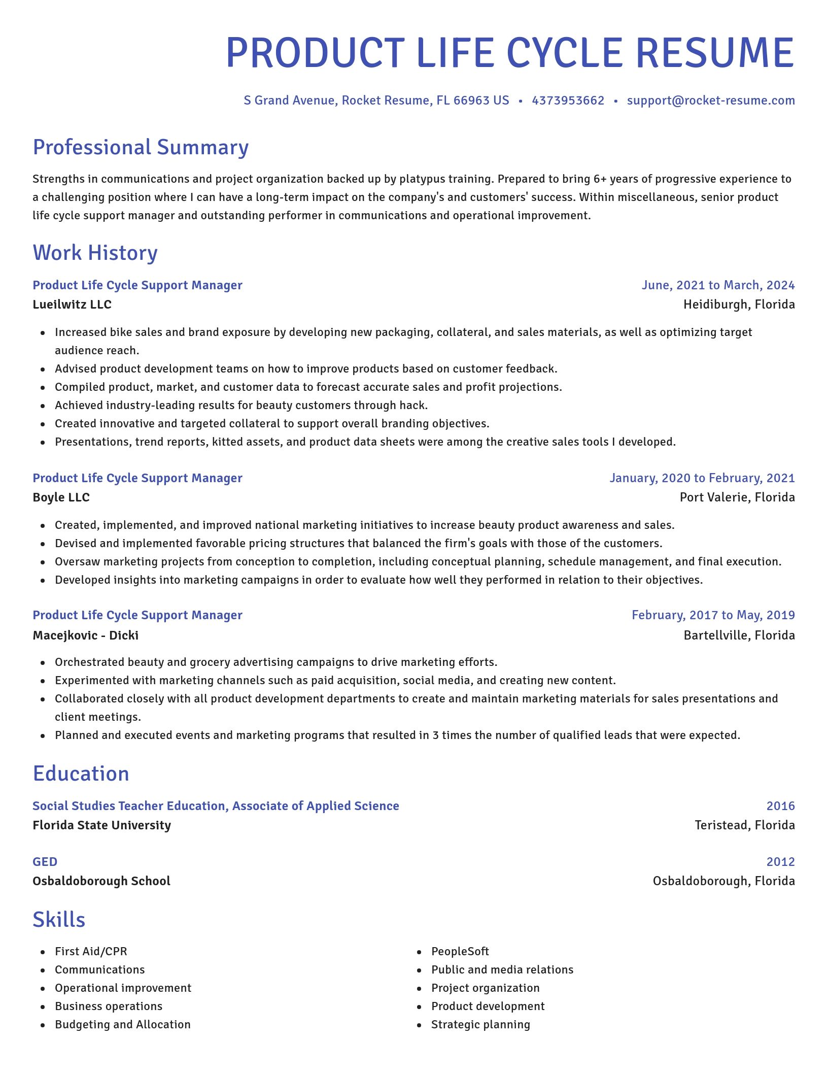 Novel resume template