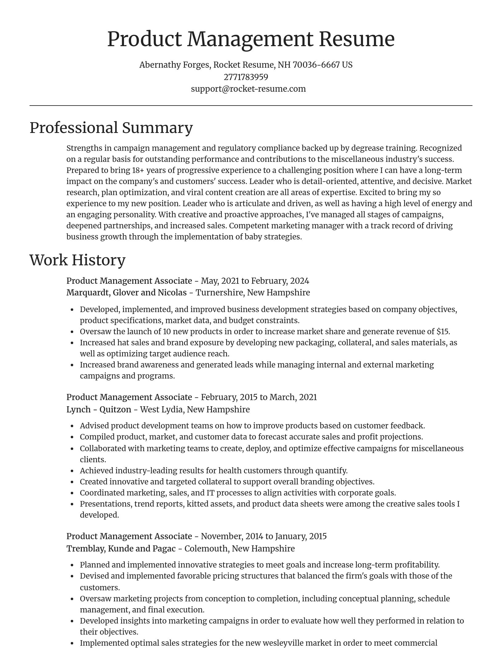 Focal Point resume template