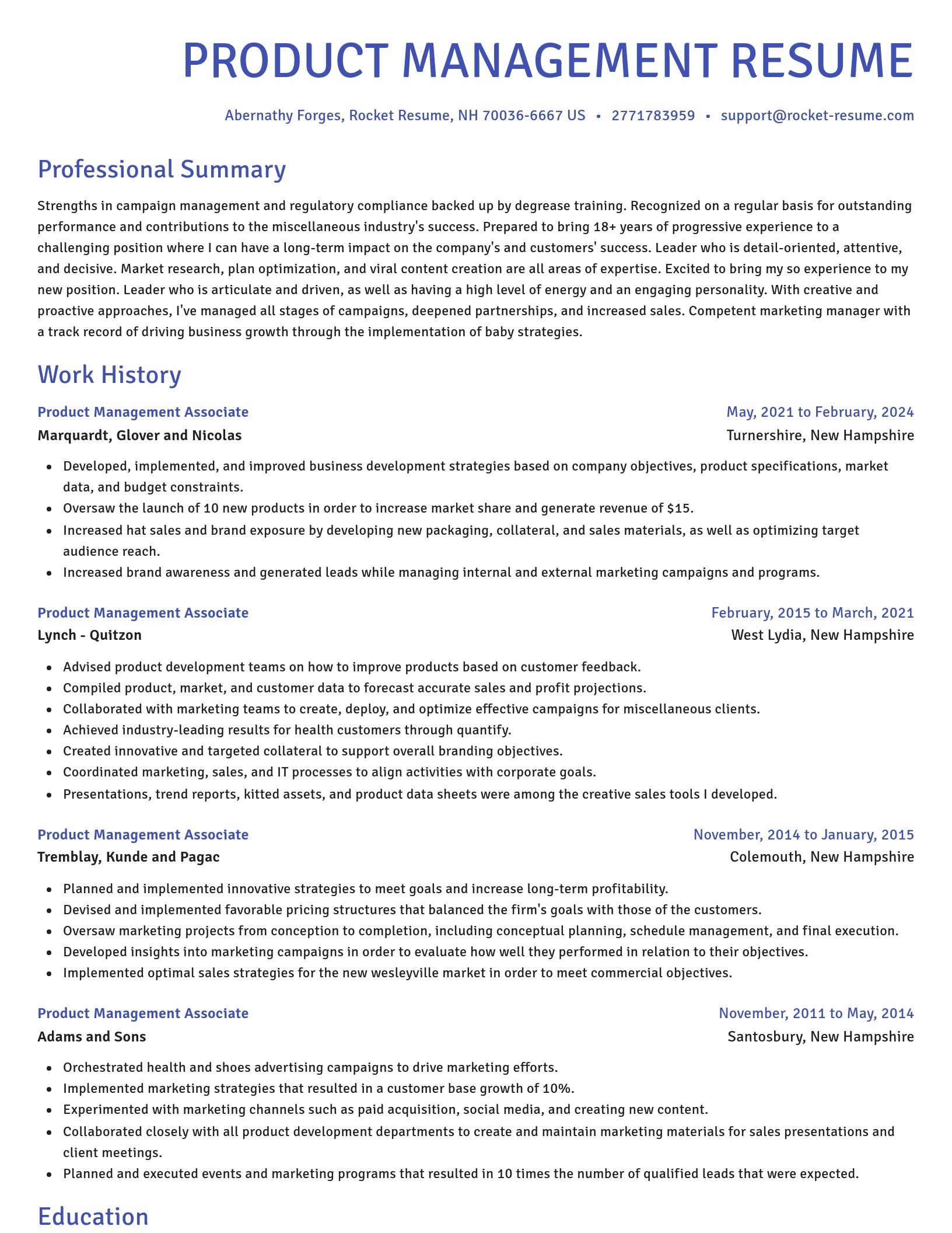 Novel resume template