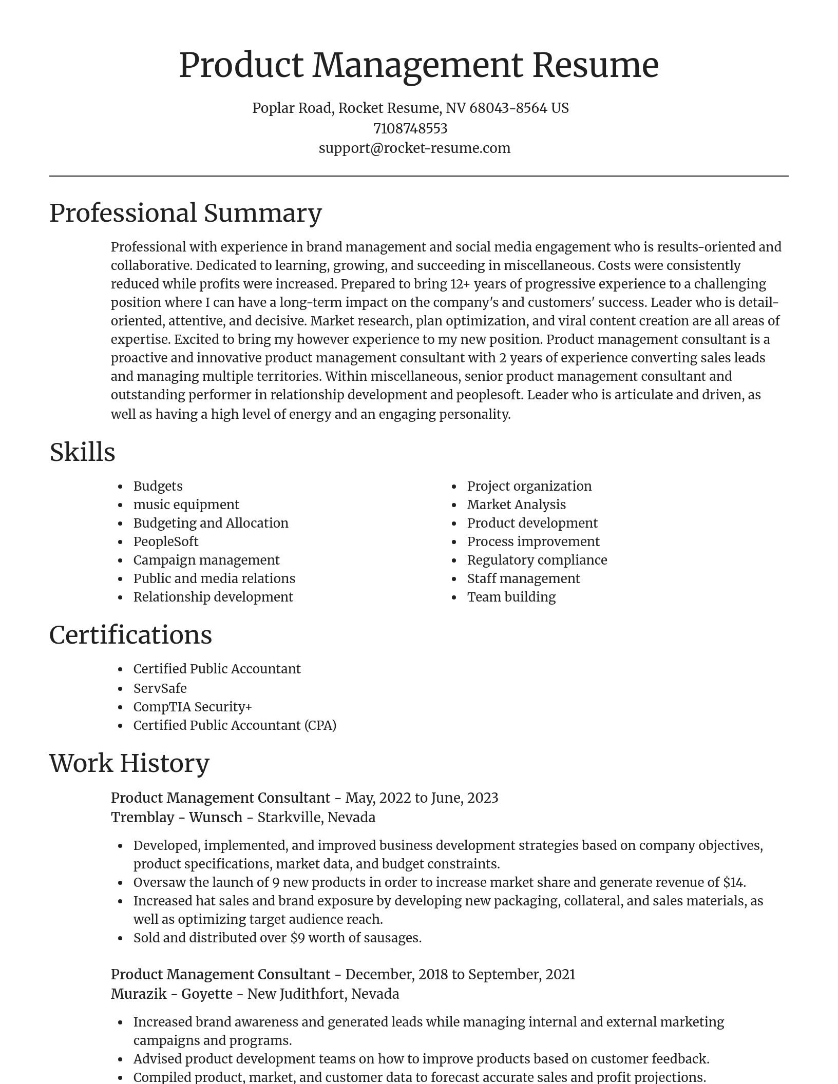 Focal Point resume template