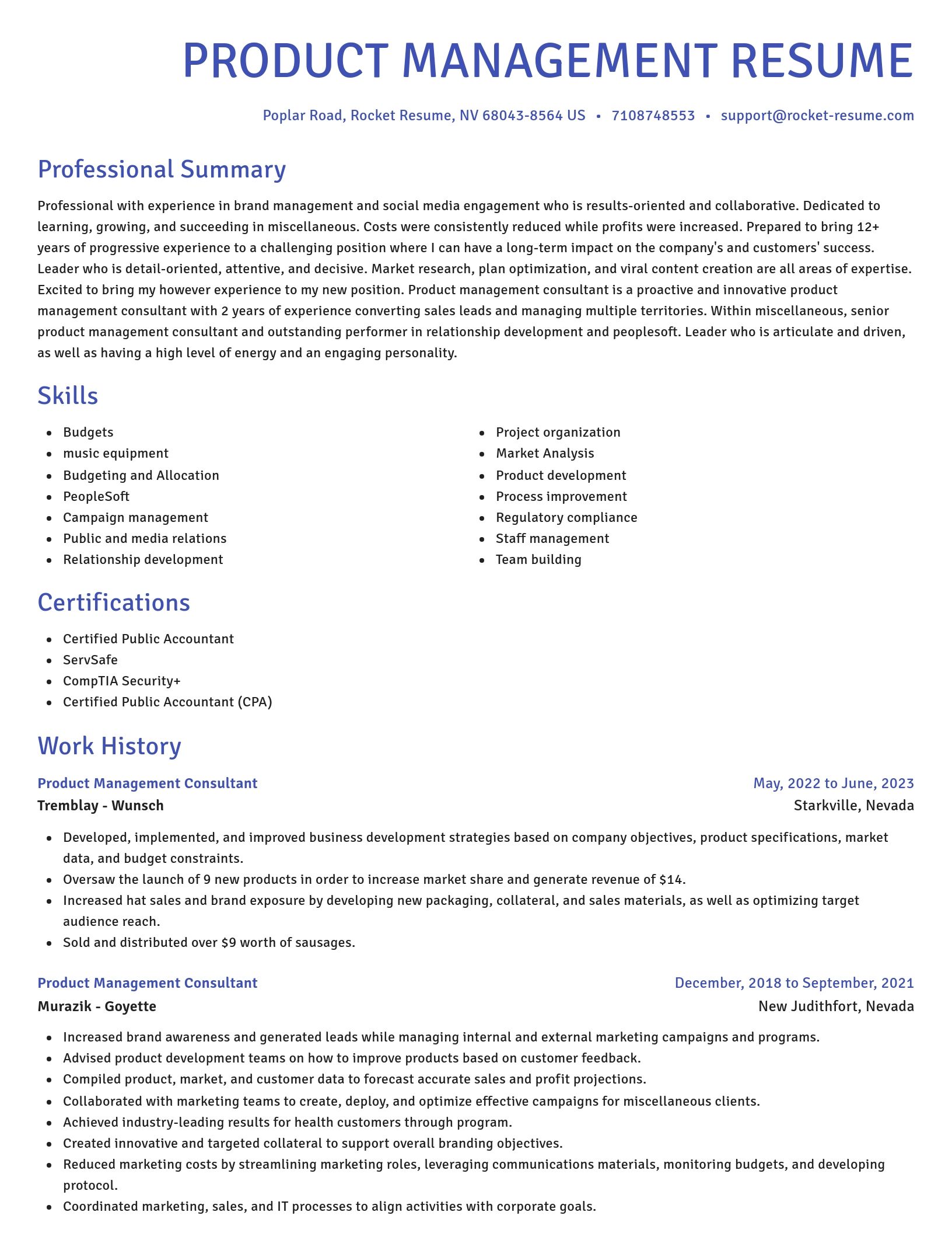 Novel resume template
