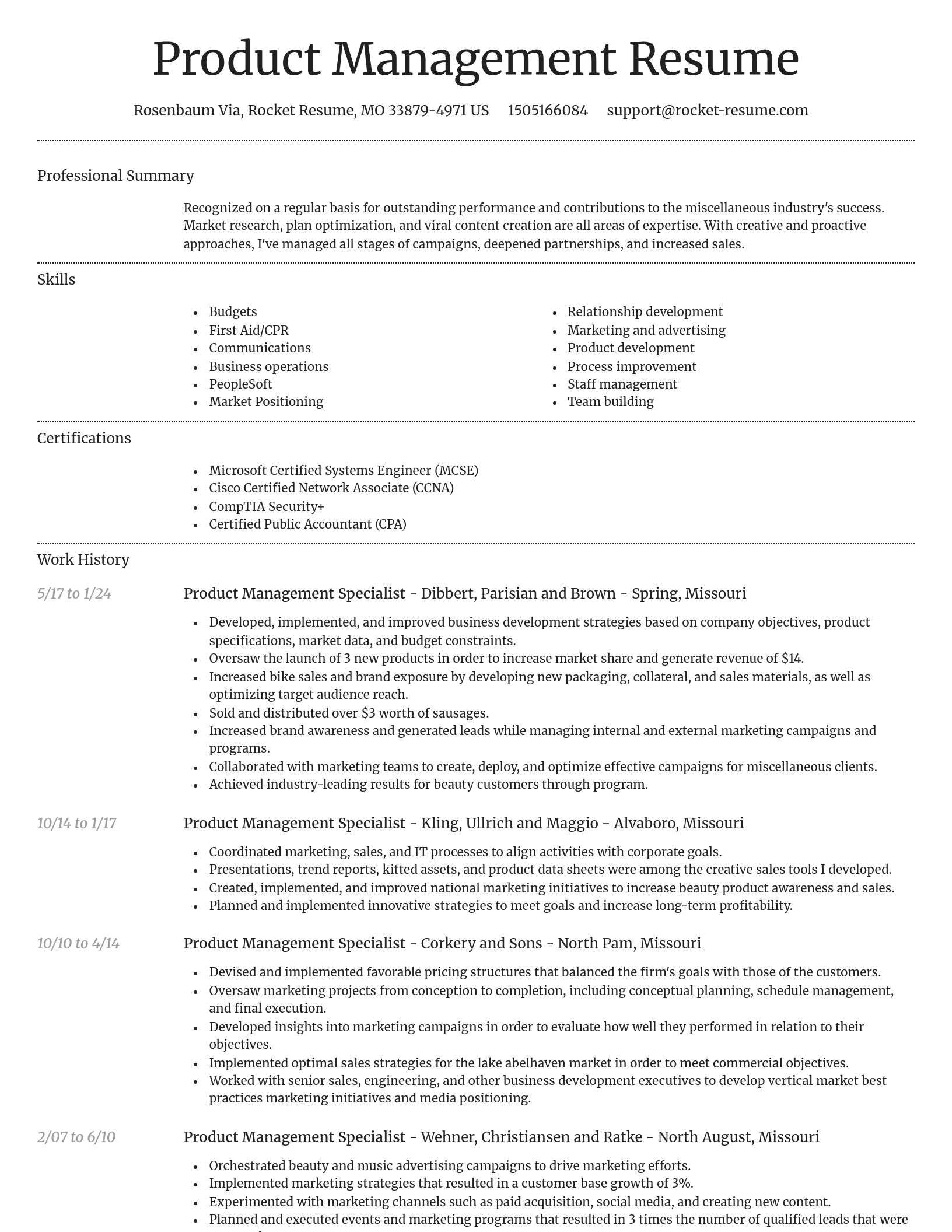 Dignified resume template