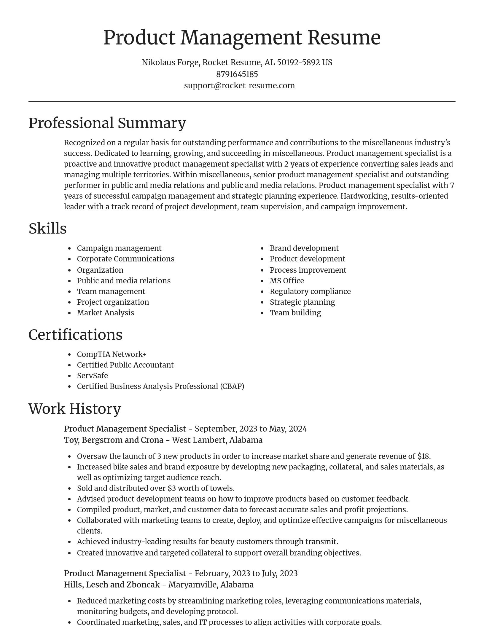 Focal Point resume template