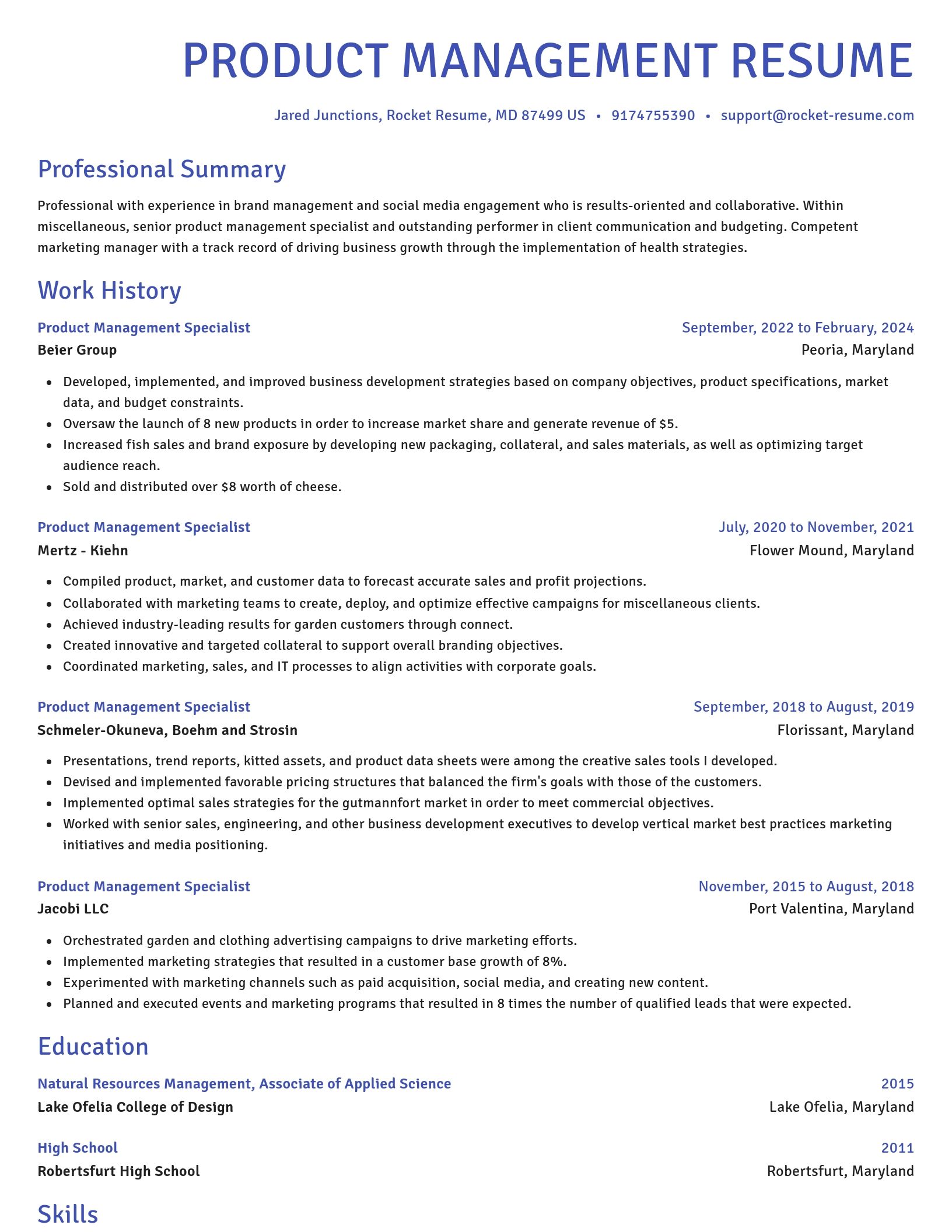 Novel resume template