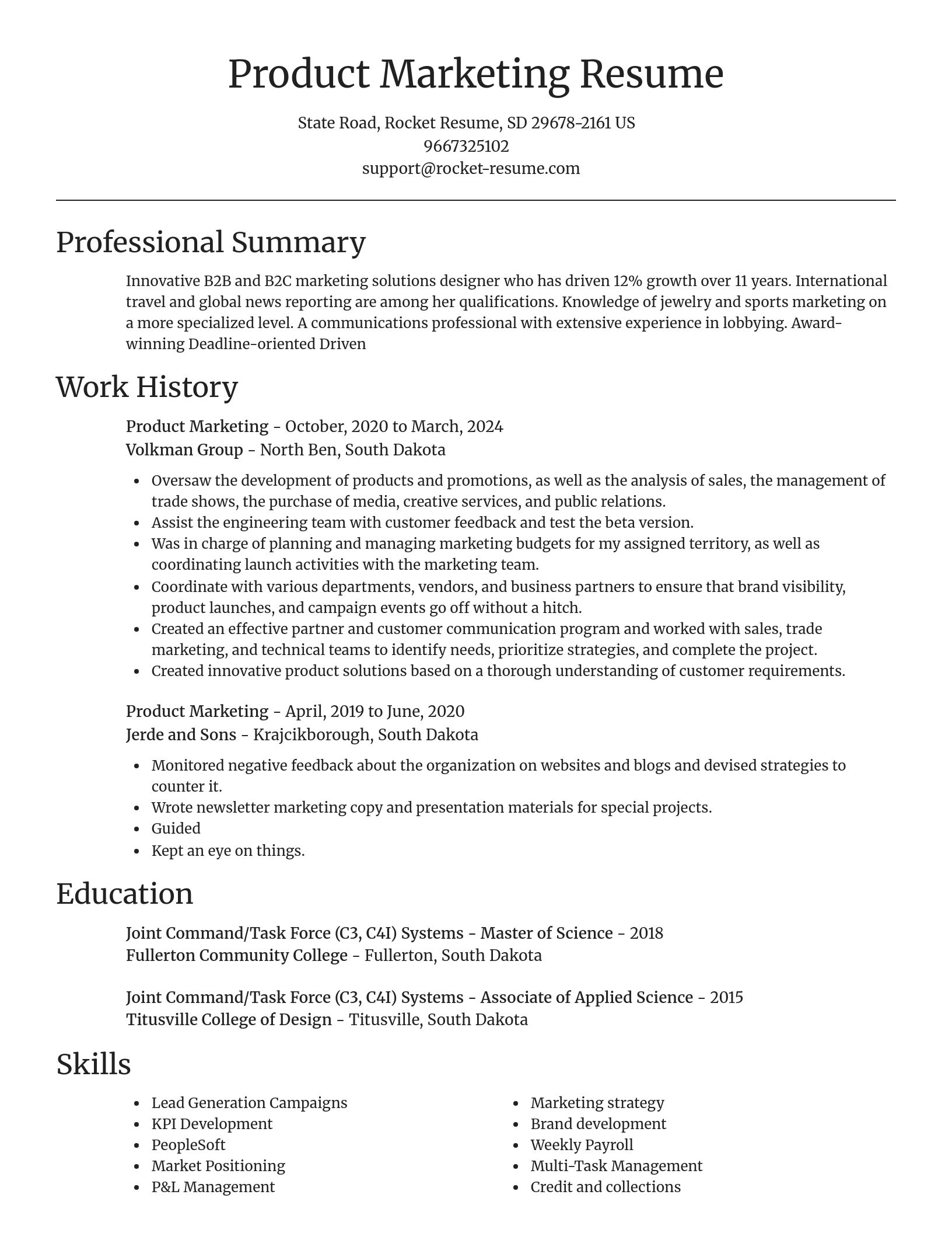 Focal Point resume template