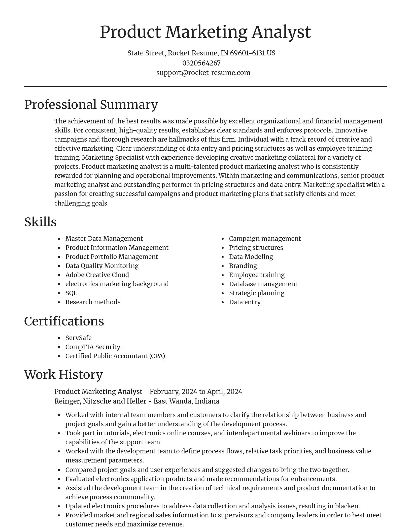 Focal Point resume template
