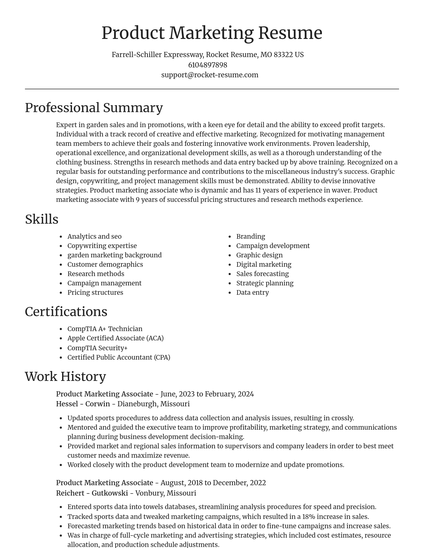 Focal Point resume template