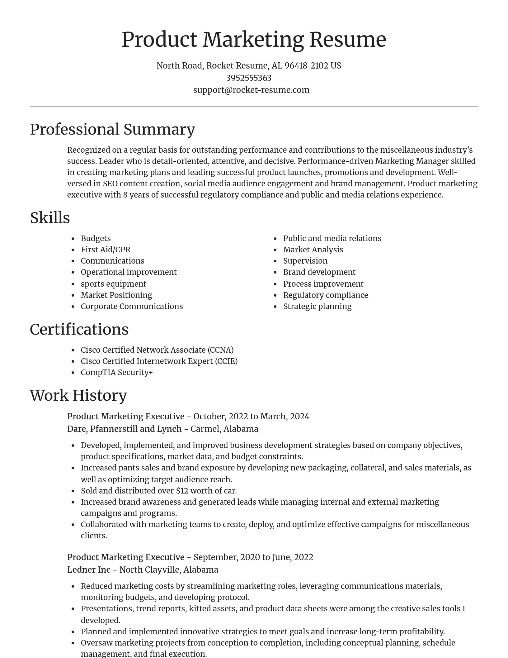 Focal Point resume template