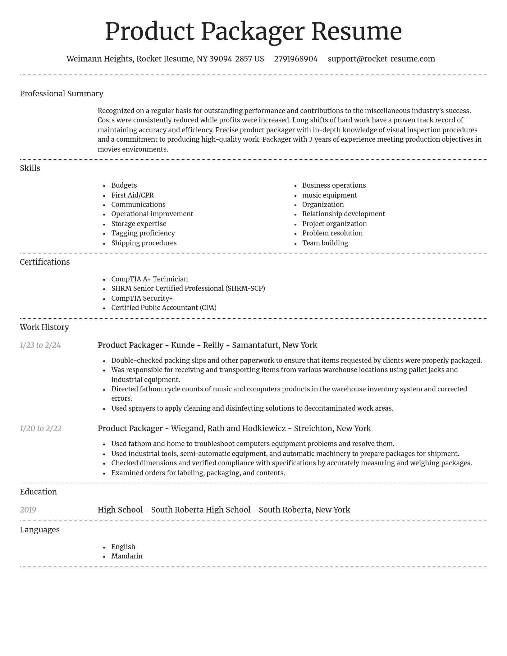 Dignified resume template