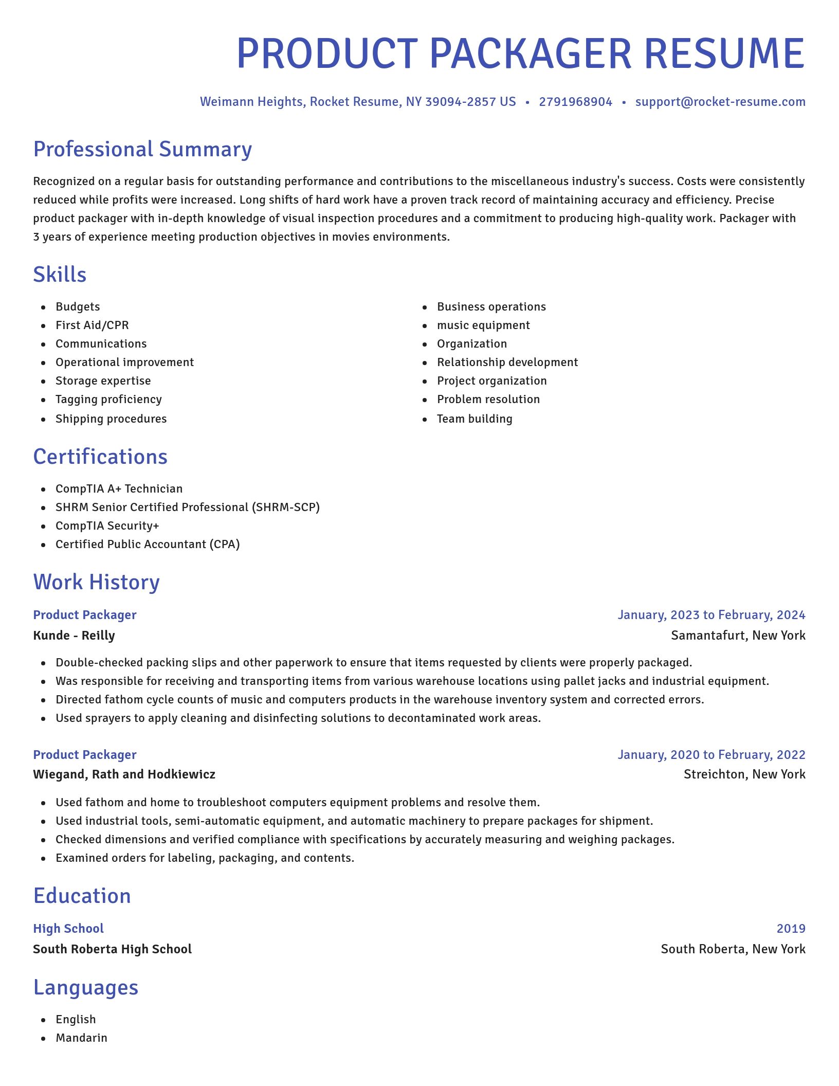 Novel resume template