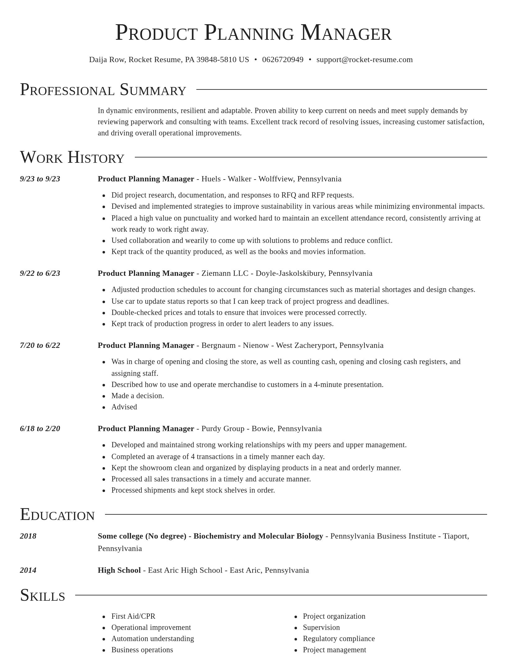 Director resume template