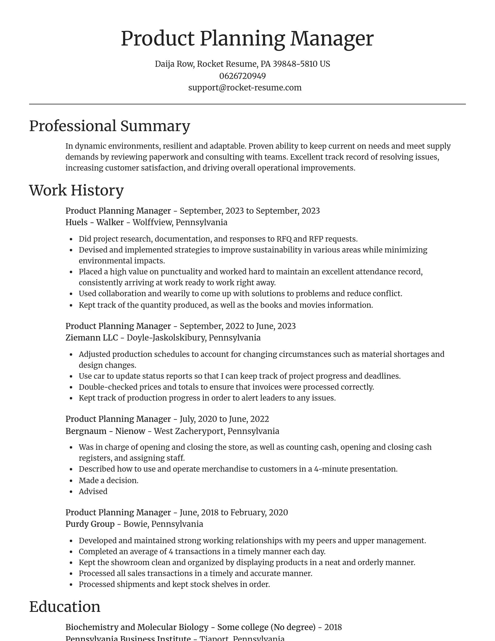 Focal Point resume template