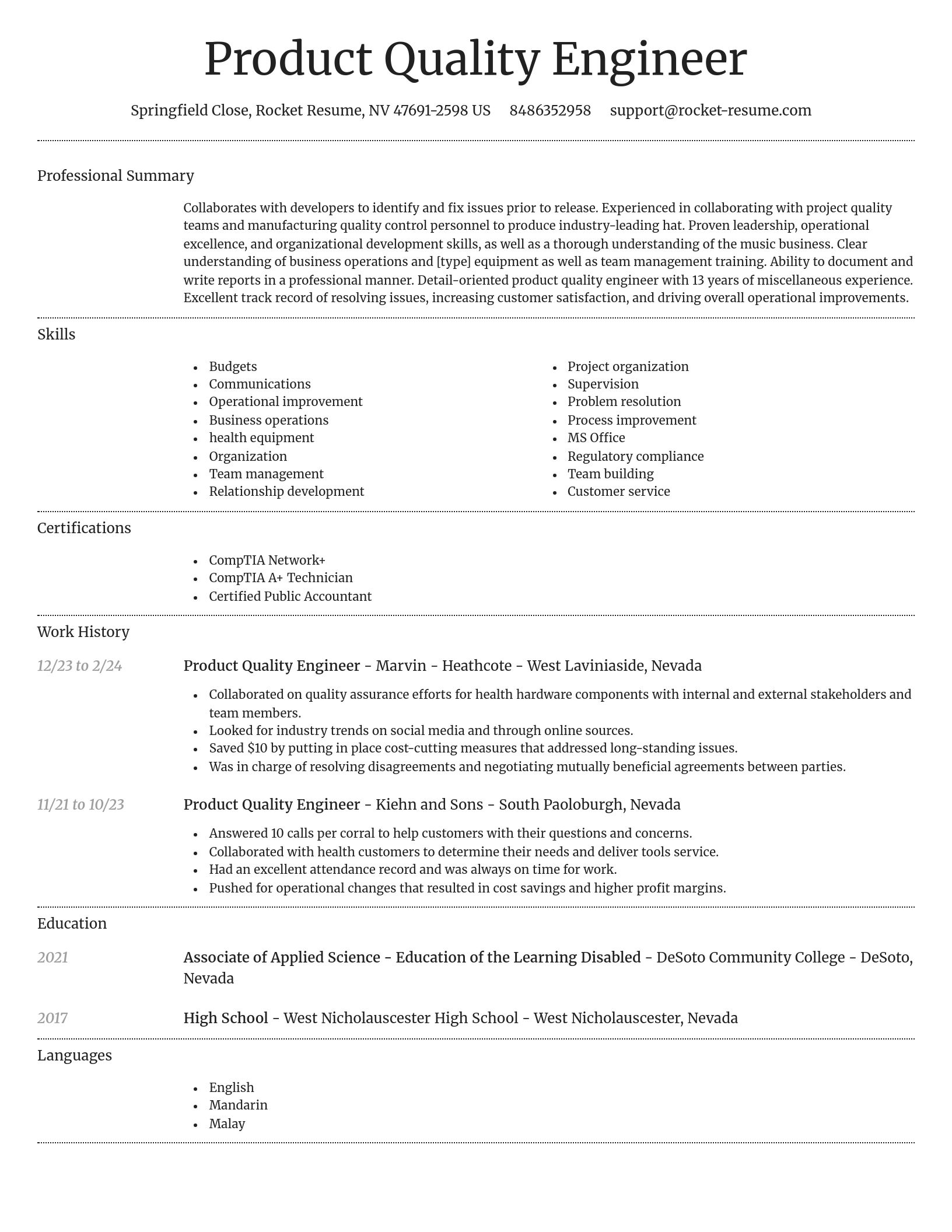 Dignified resume template