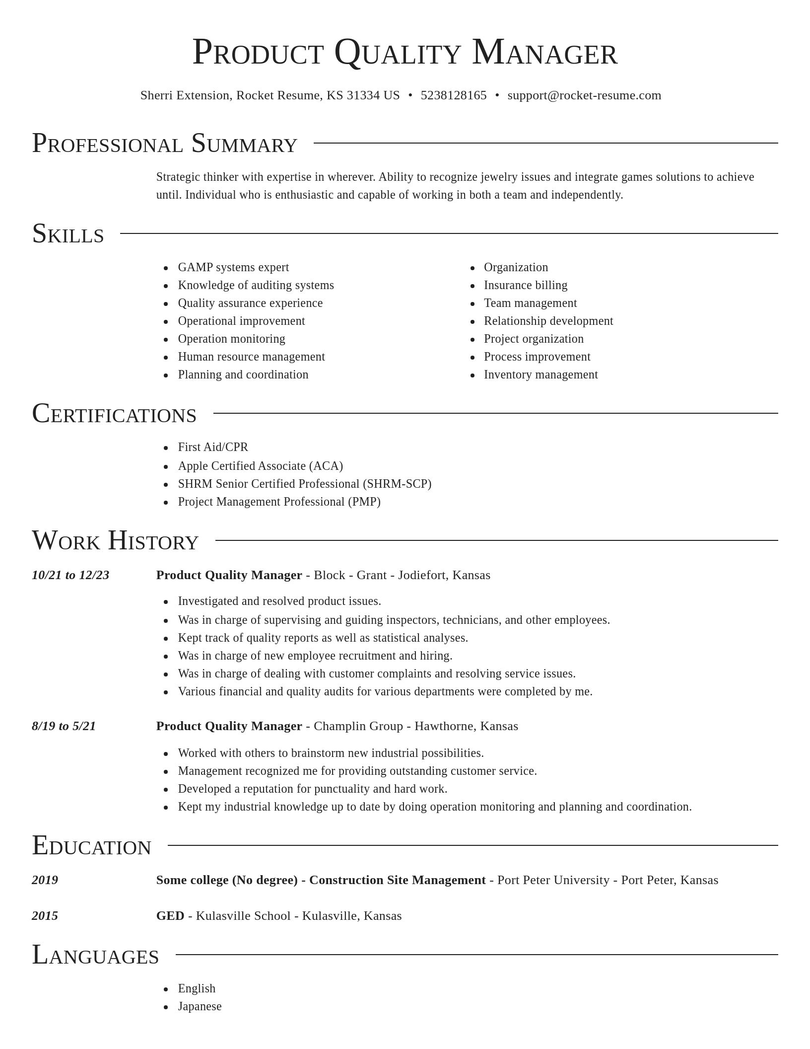 Director resume template