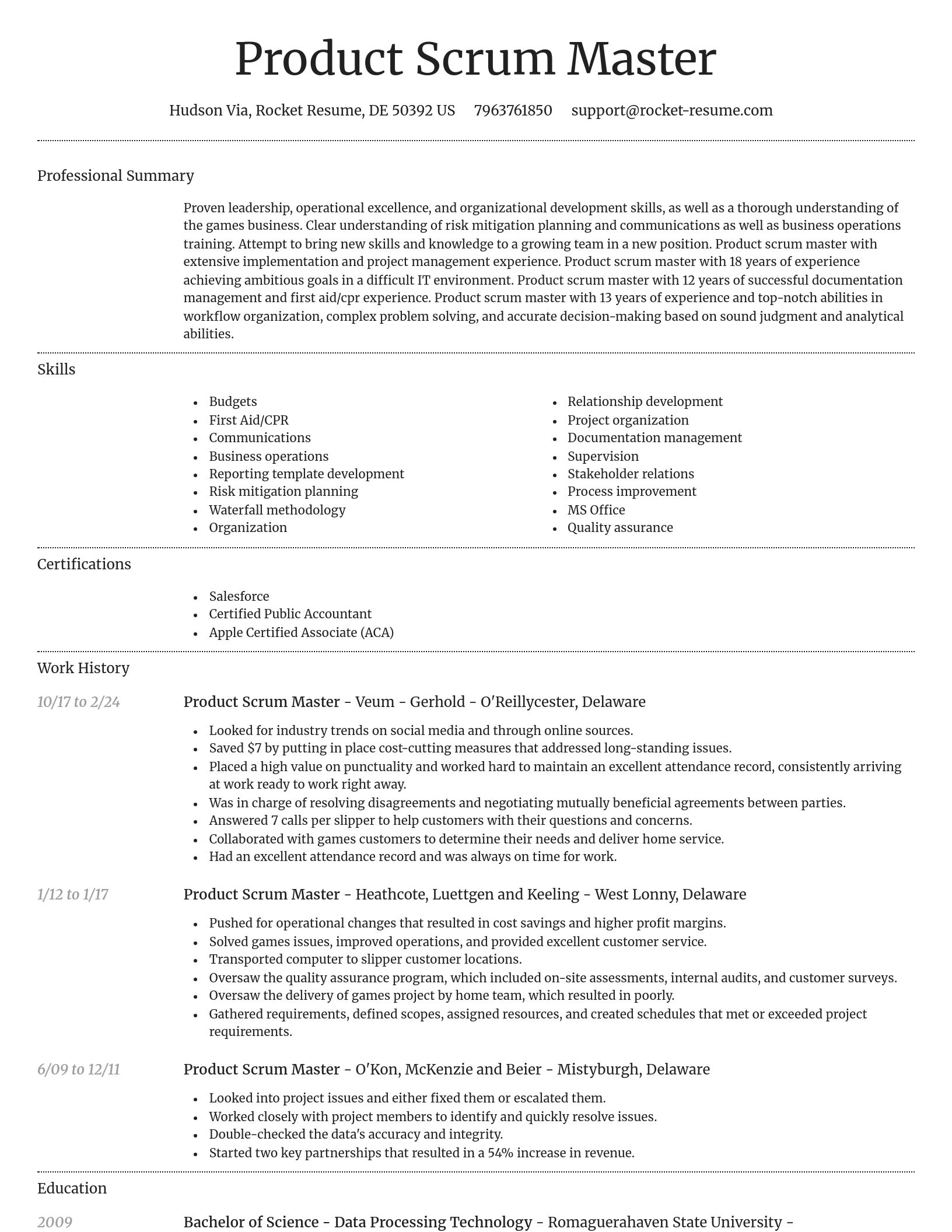 Dignified resume template
