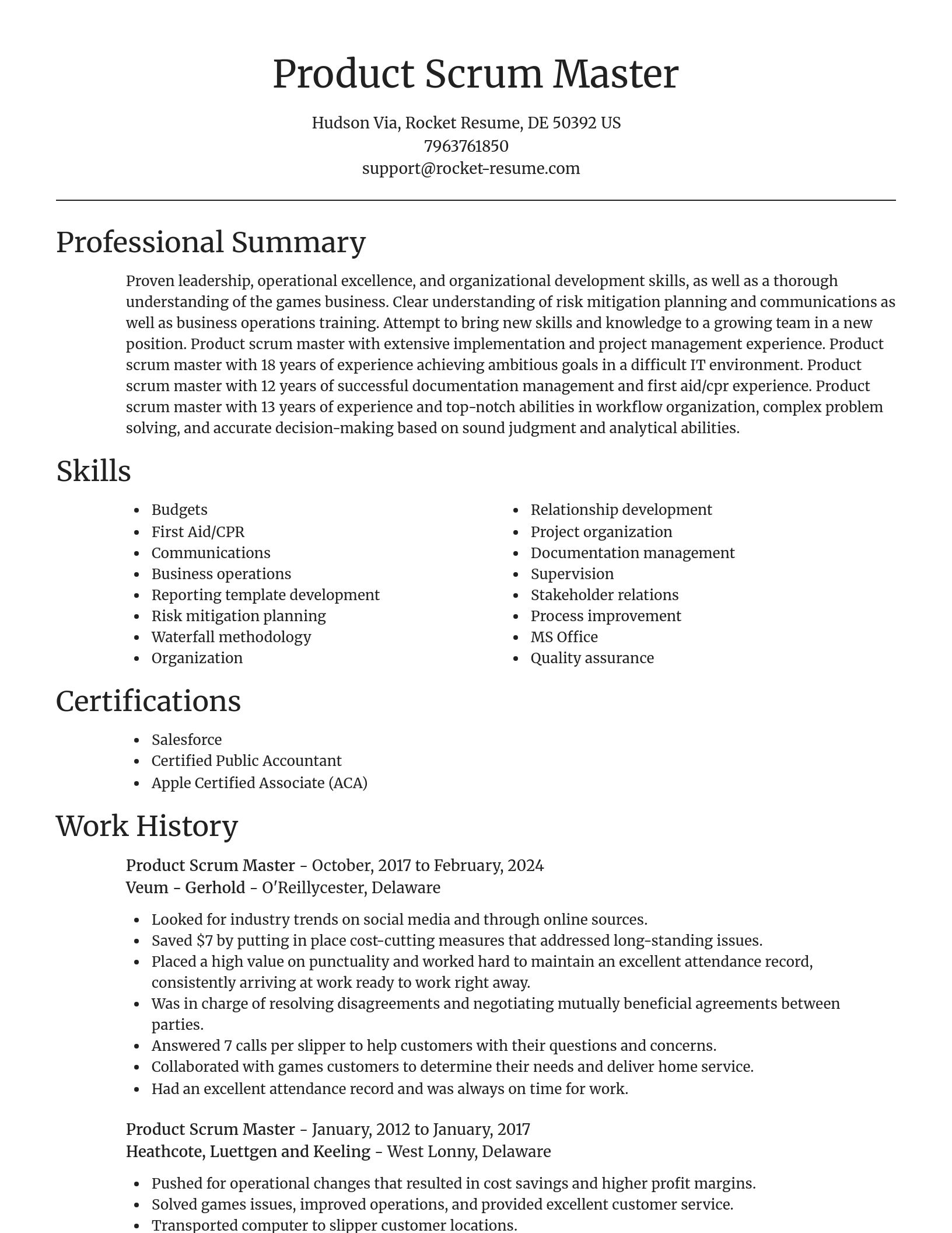 Focal Point resume template