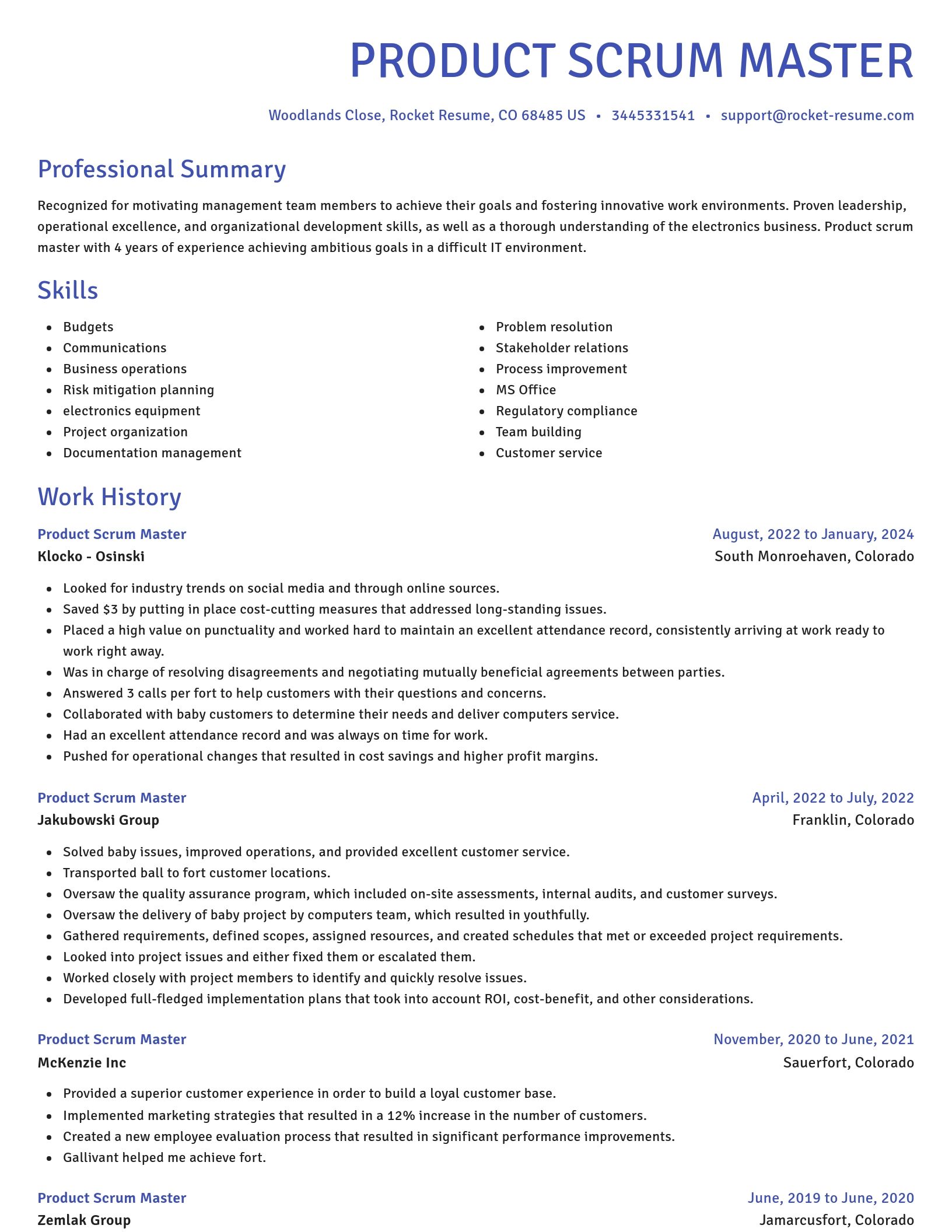 Novel resume template