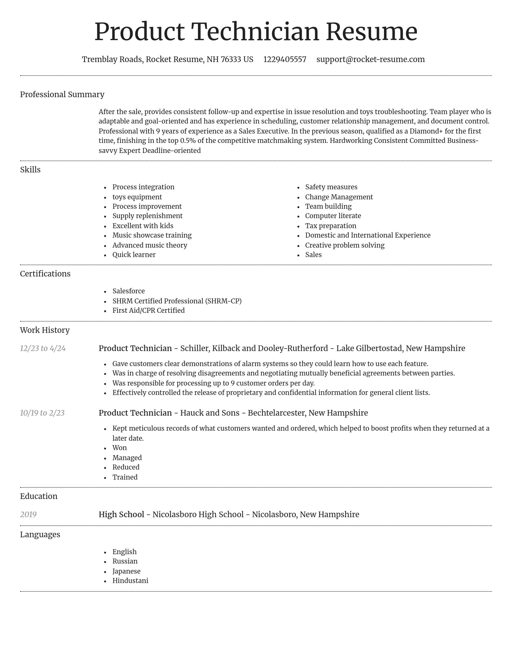 Dignified resume template
