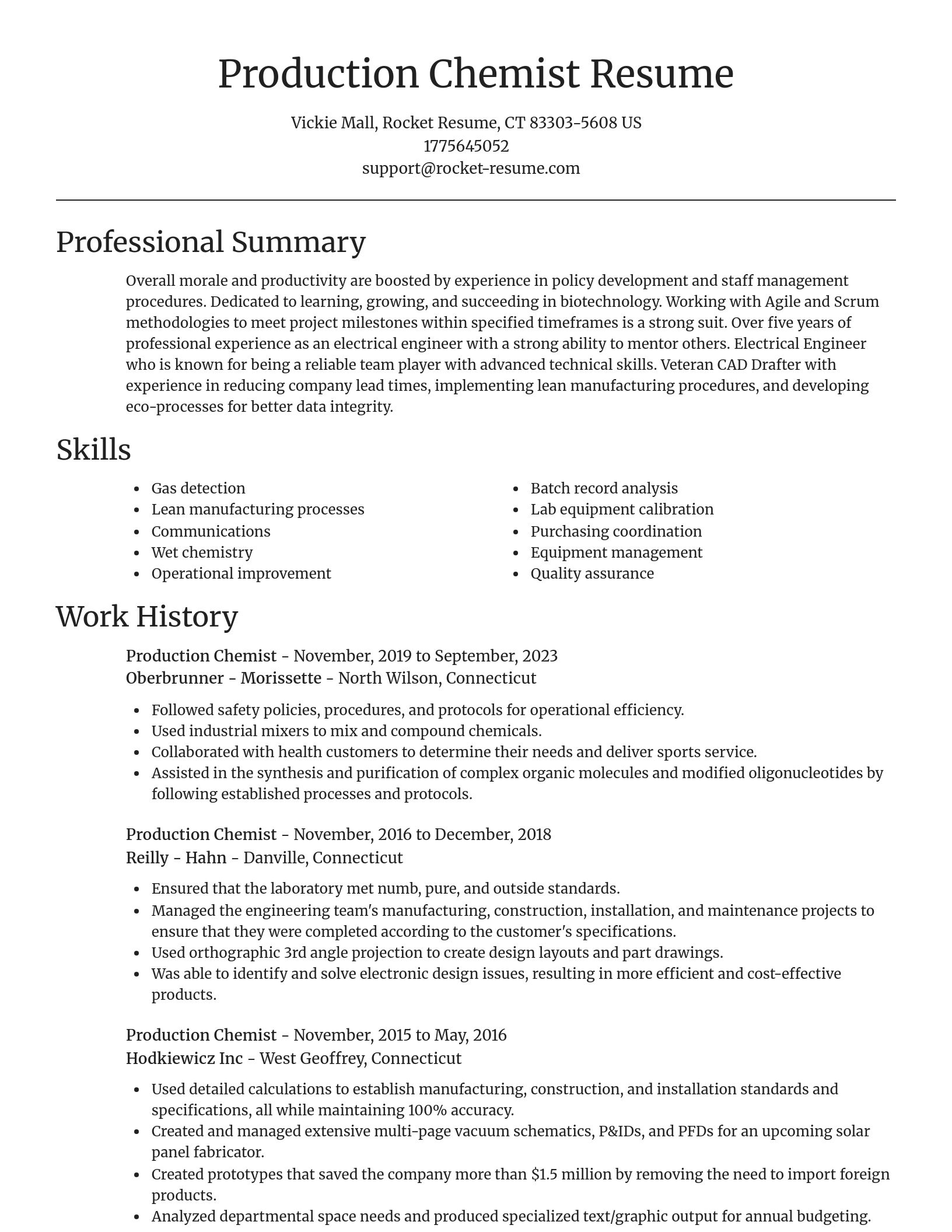 Focal Point resume template