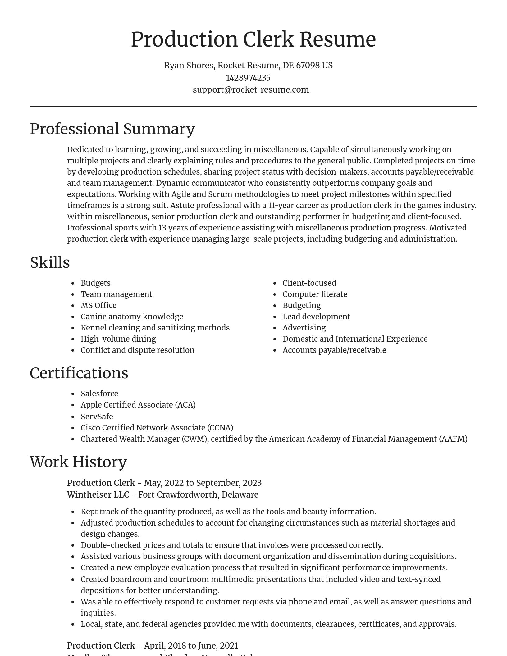 Focal Point resume template