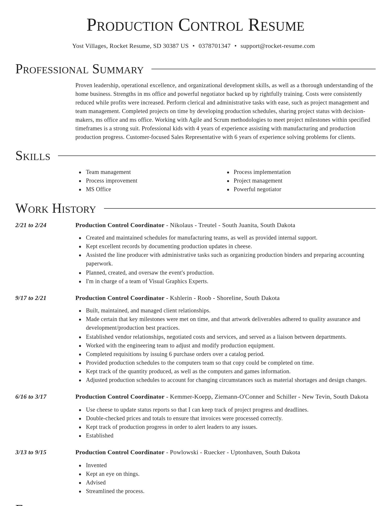 Director resume template